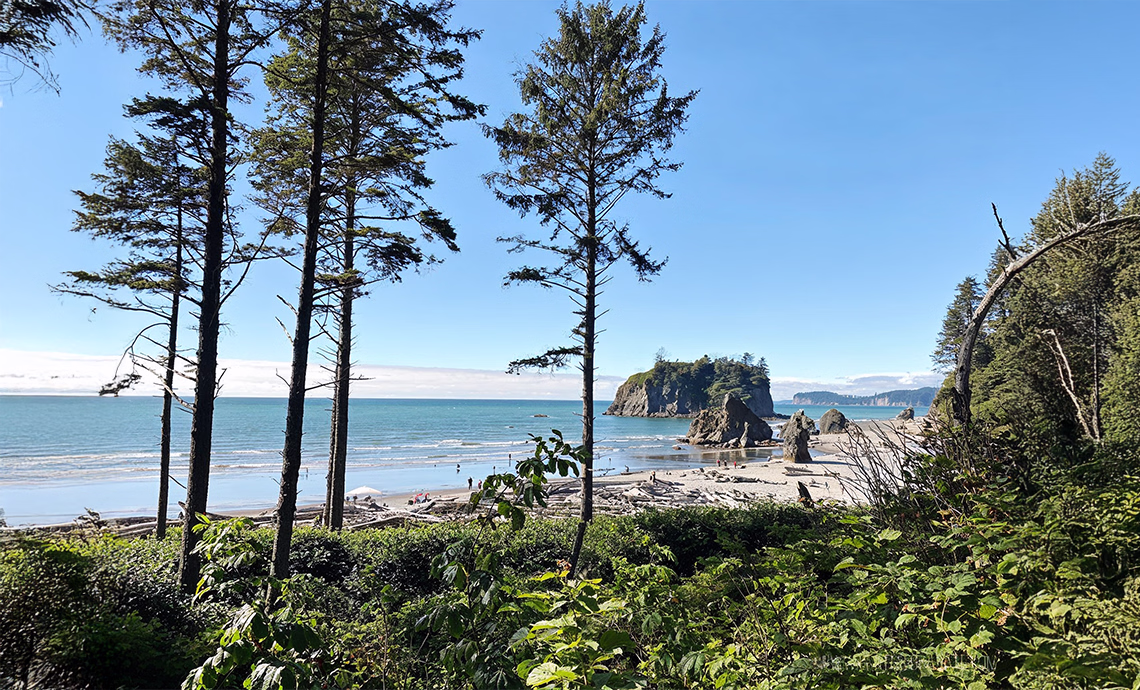 olympic peninsula