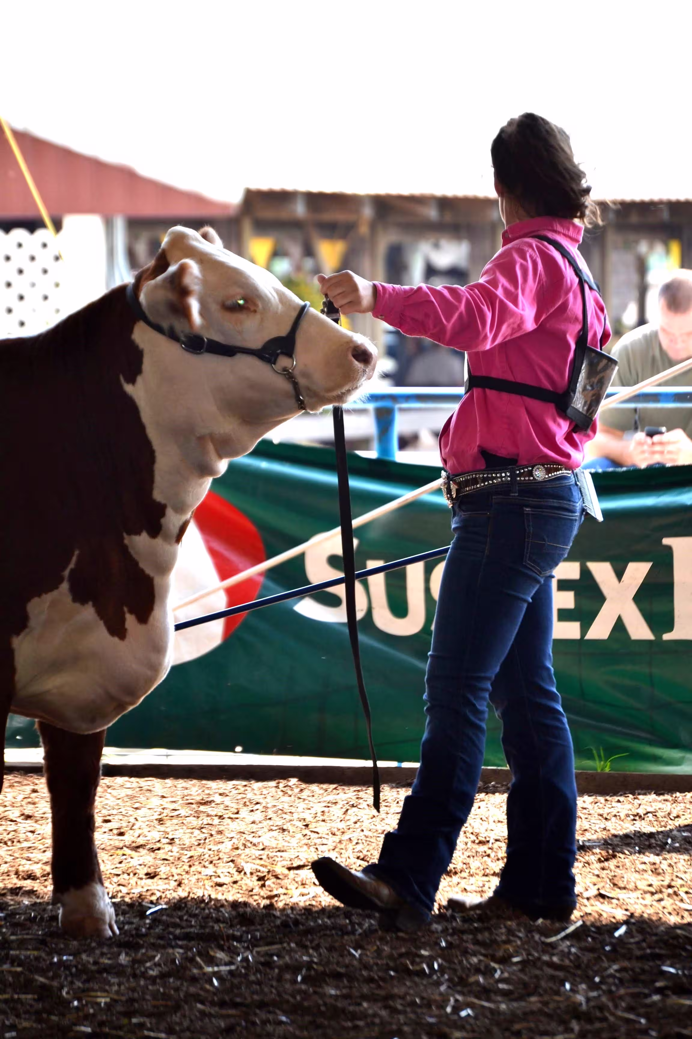 Houston Livestock Show and Rodeo