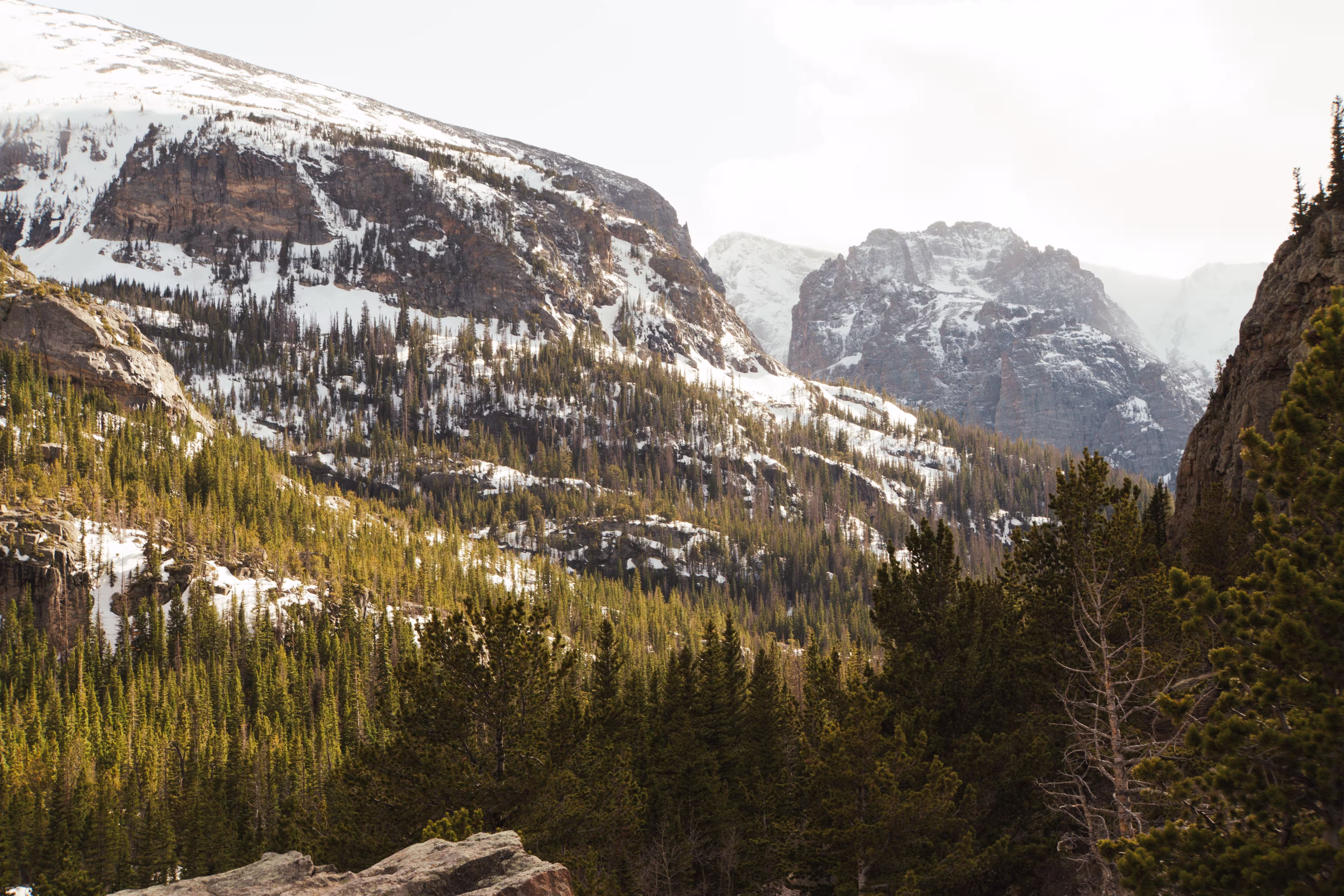 Mountains