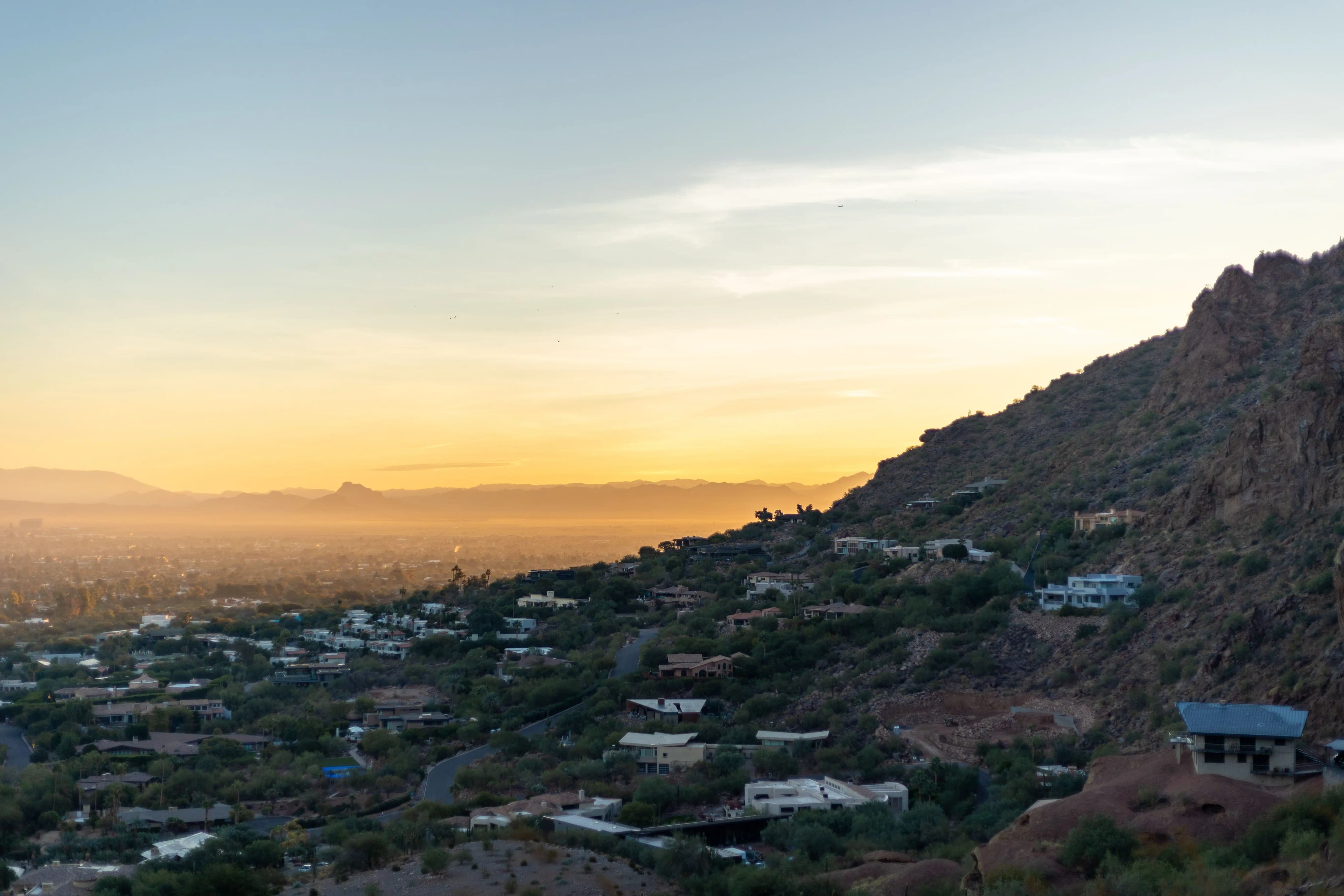 phoenix-img