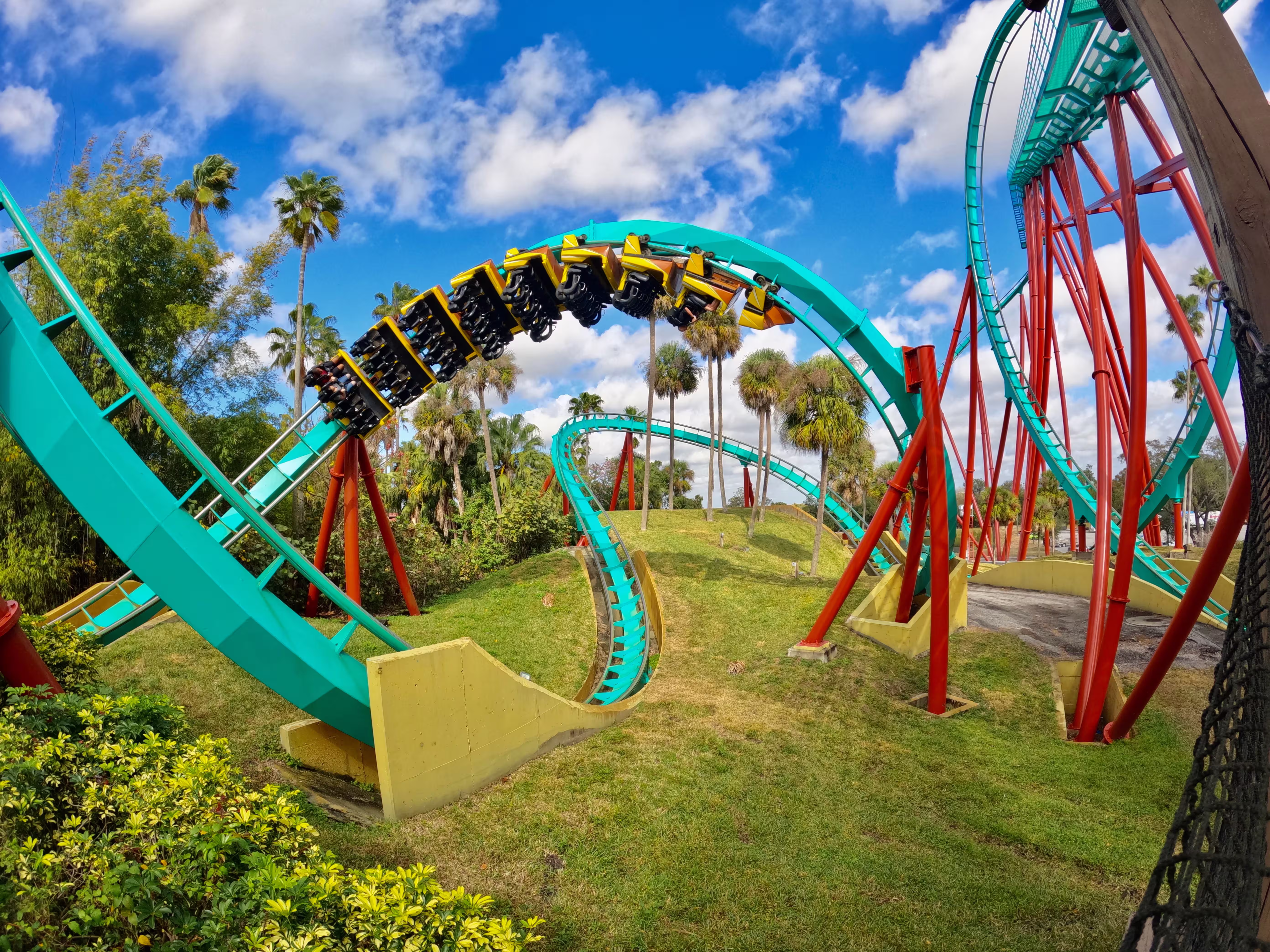 Roller coaster at Tampa theme park