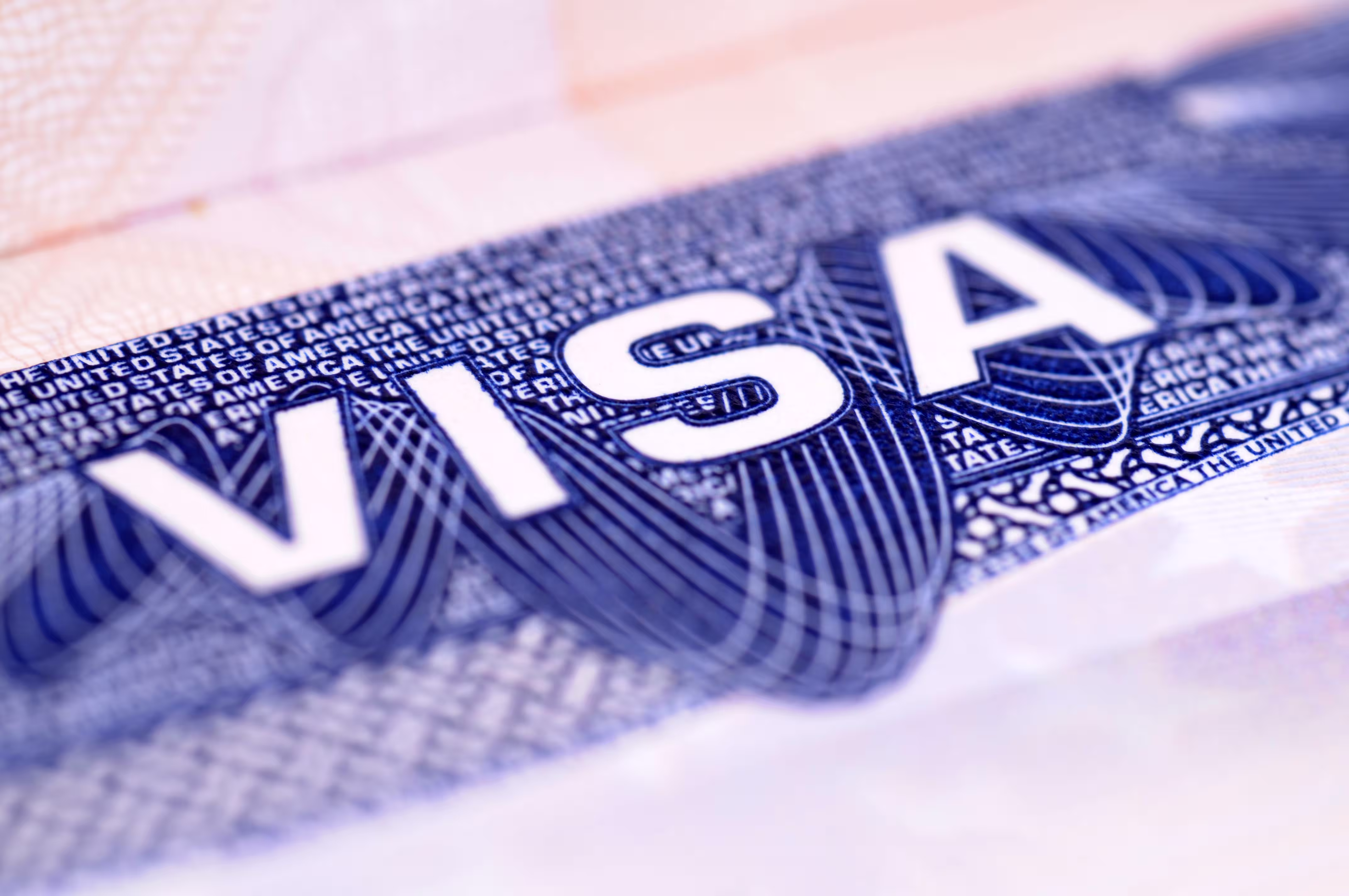 Travel visa document