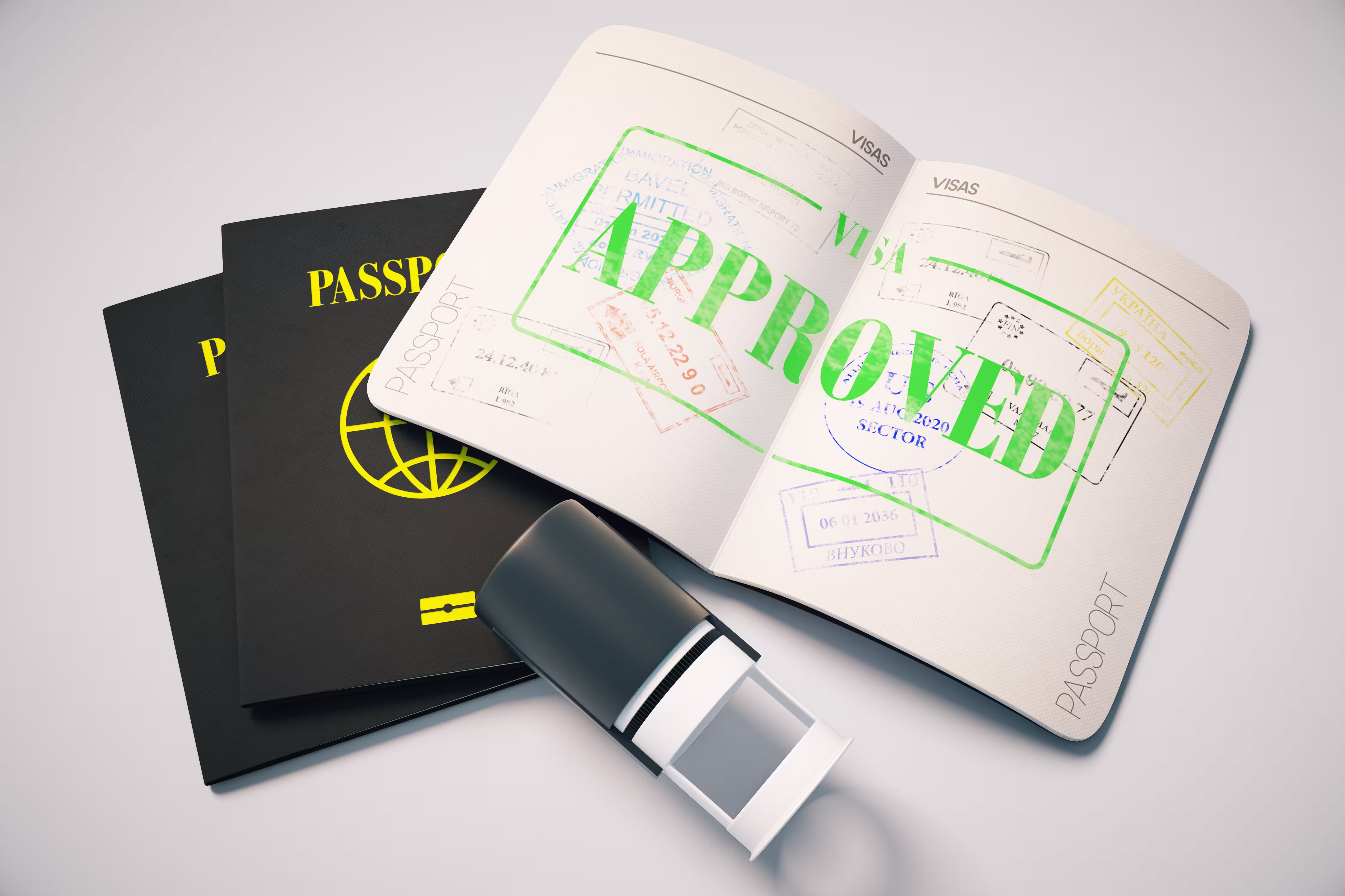 Approved visa stamp in a passport showing passport validity