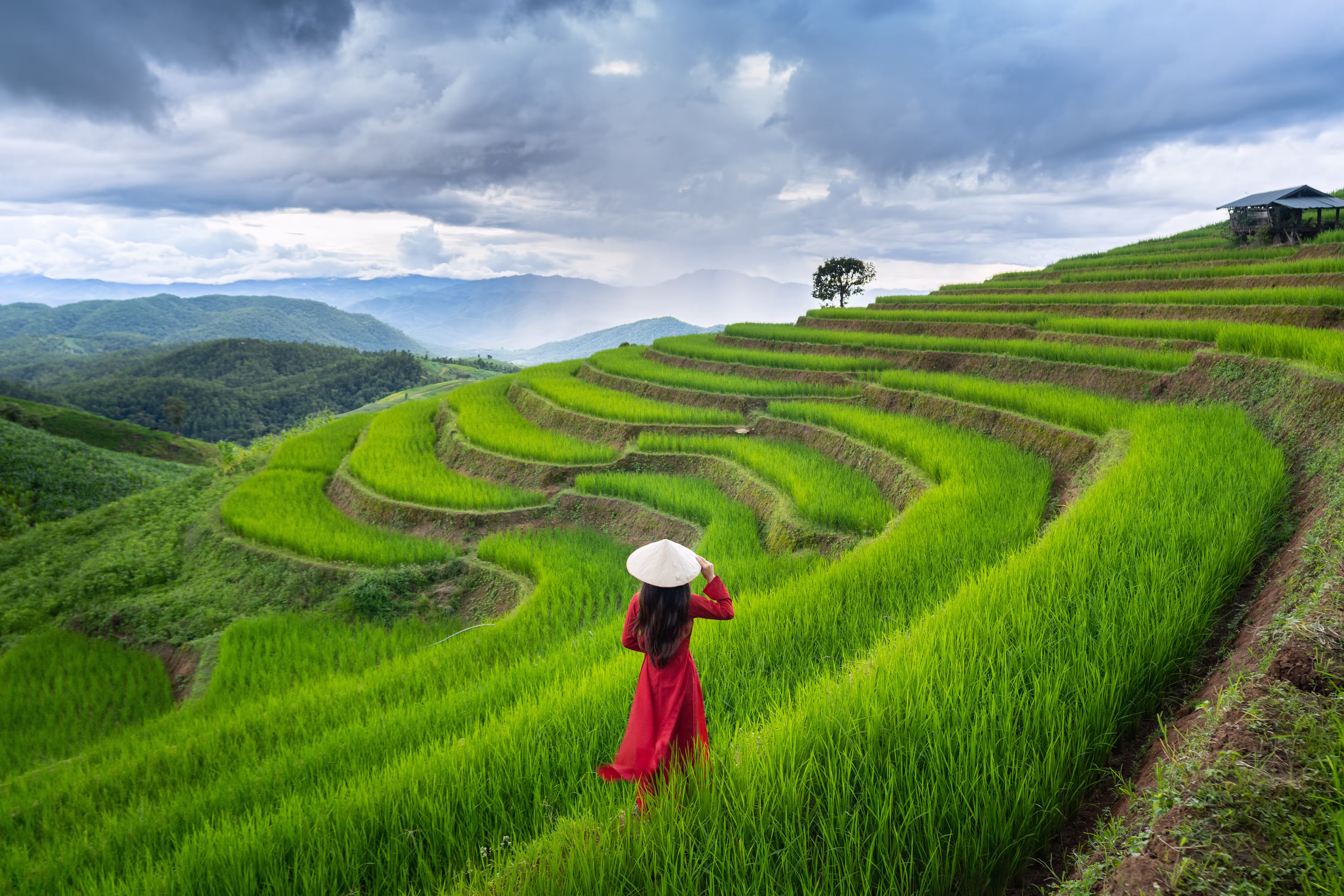 Tegallalang Rice Terraces near Ubud on a 7 day Bali itinerary