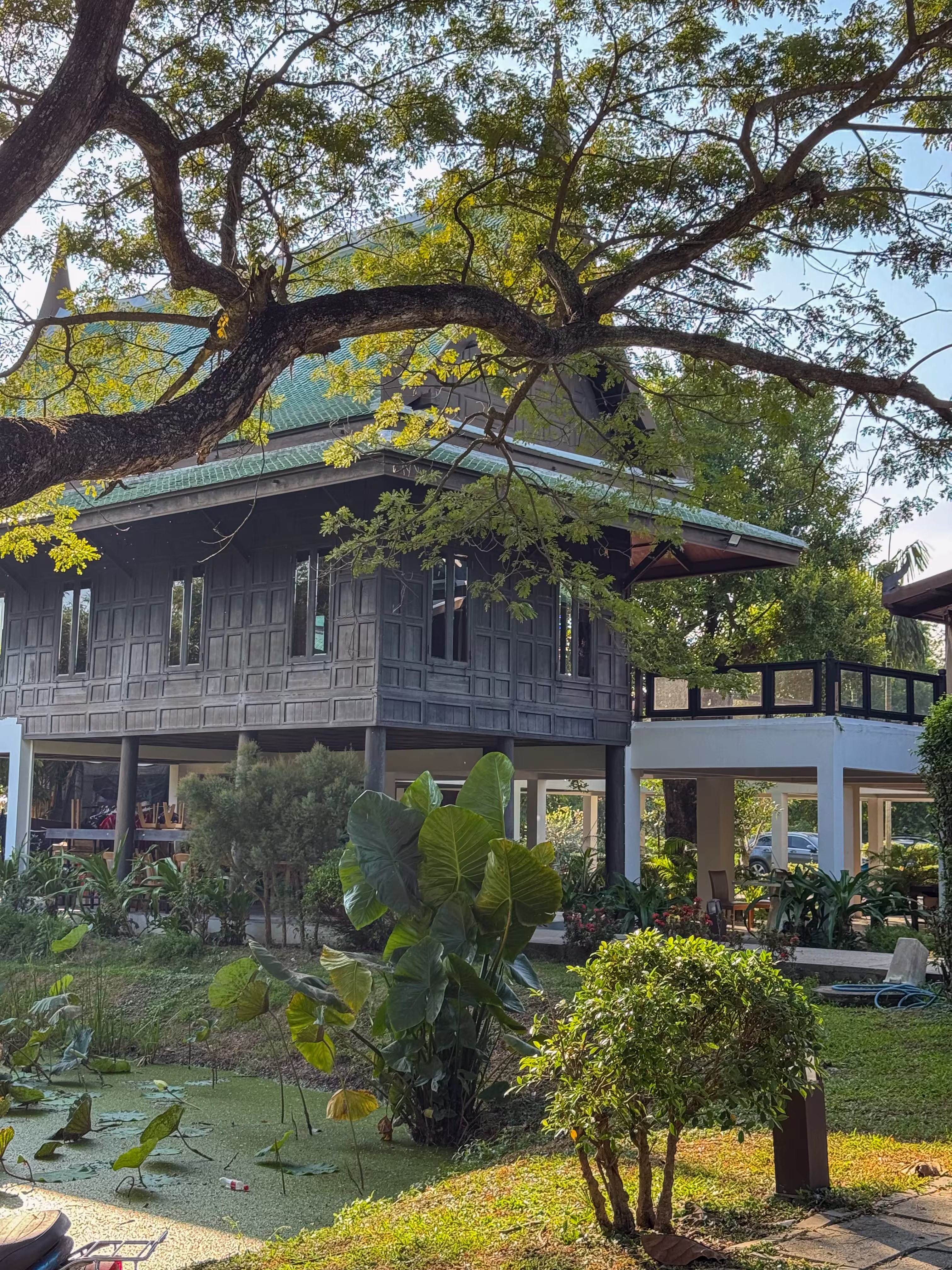 bangkok elephant care sanctuary buildings with lak