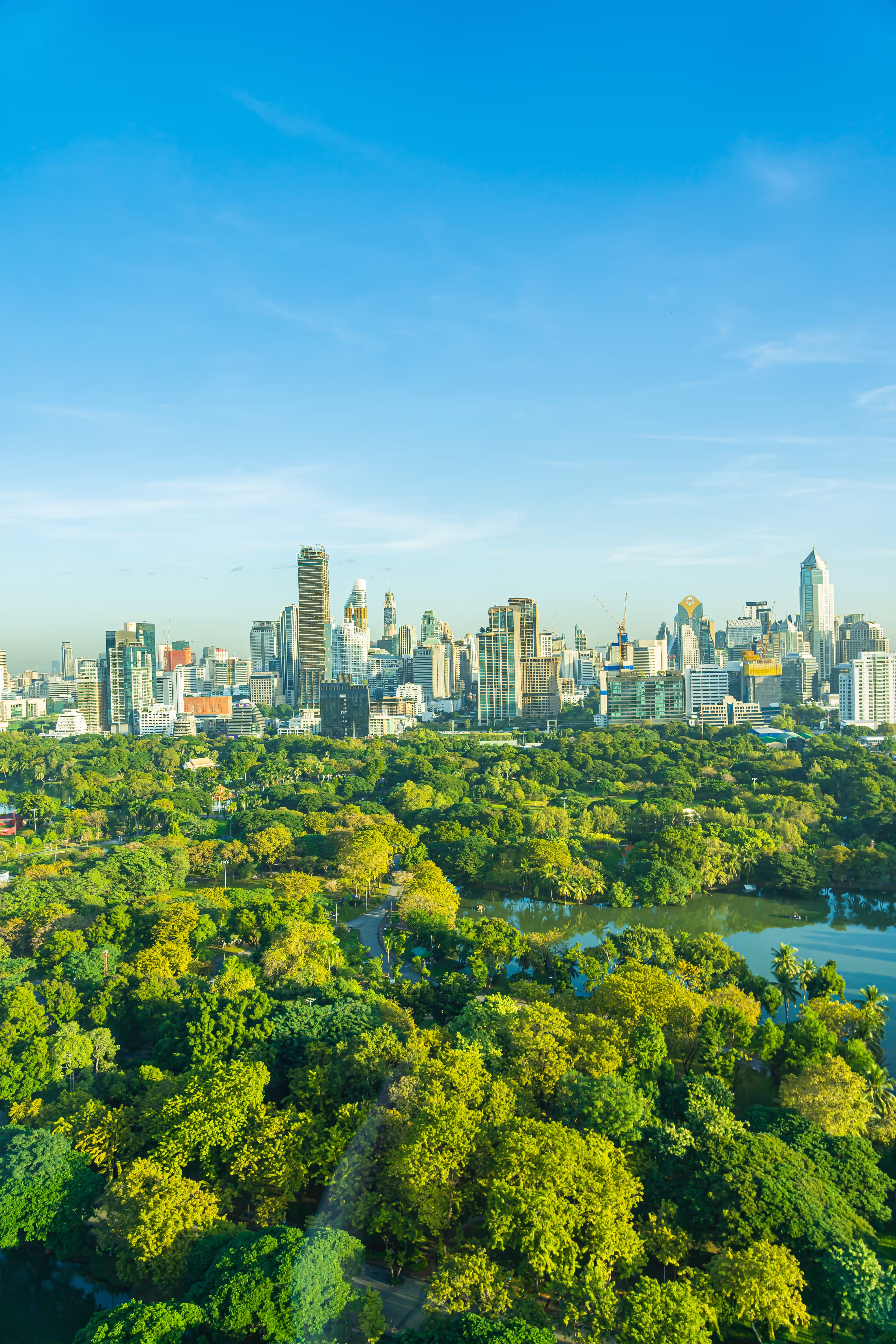 beautiful landscape cityscape with city building