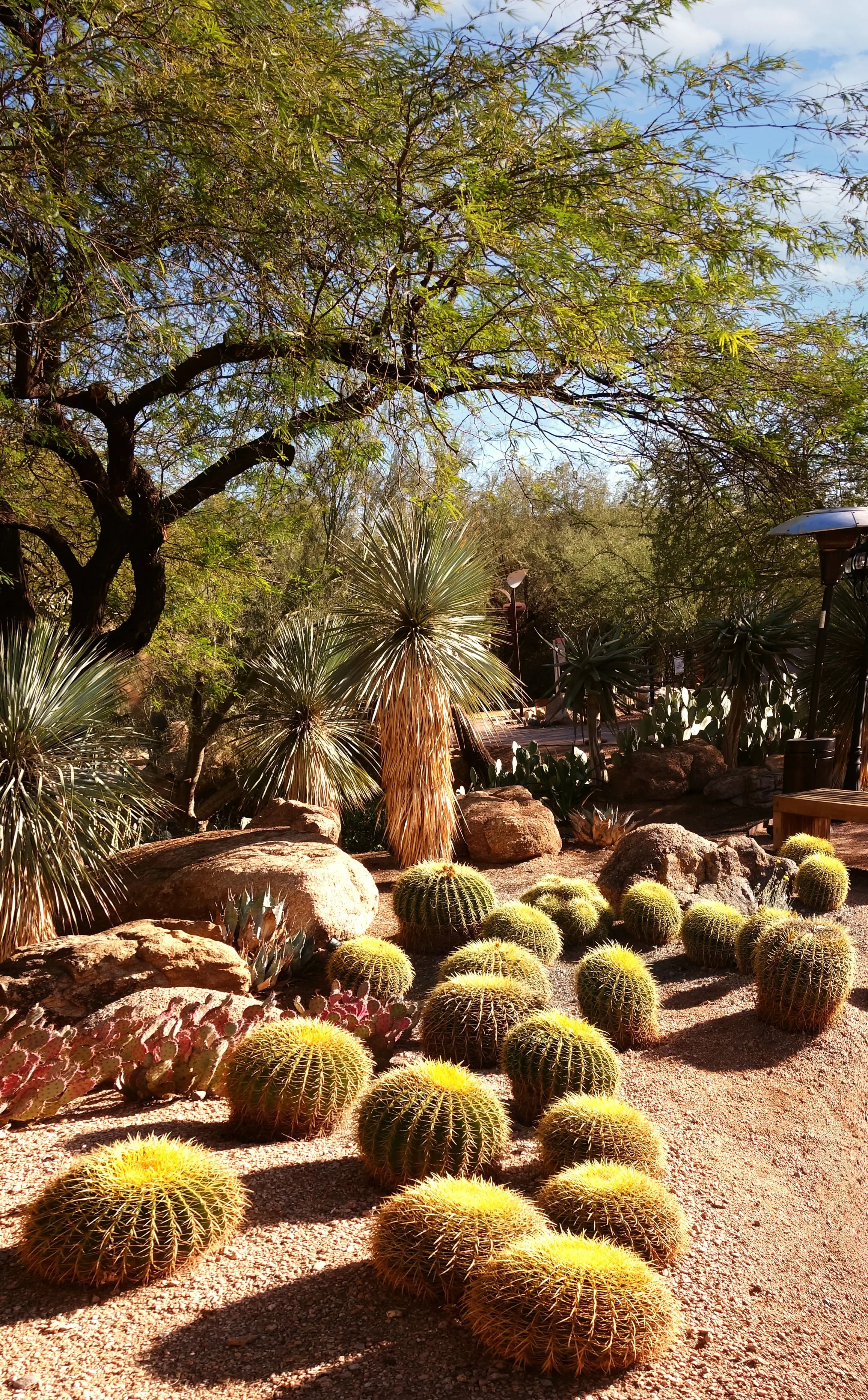 desert-landscape-img
