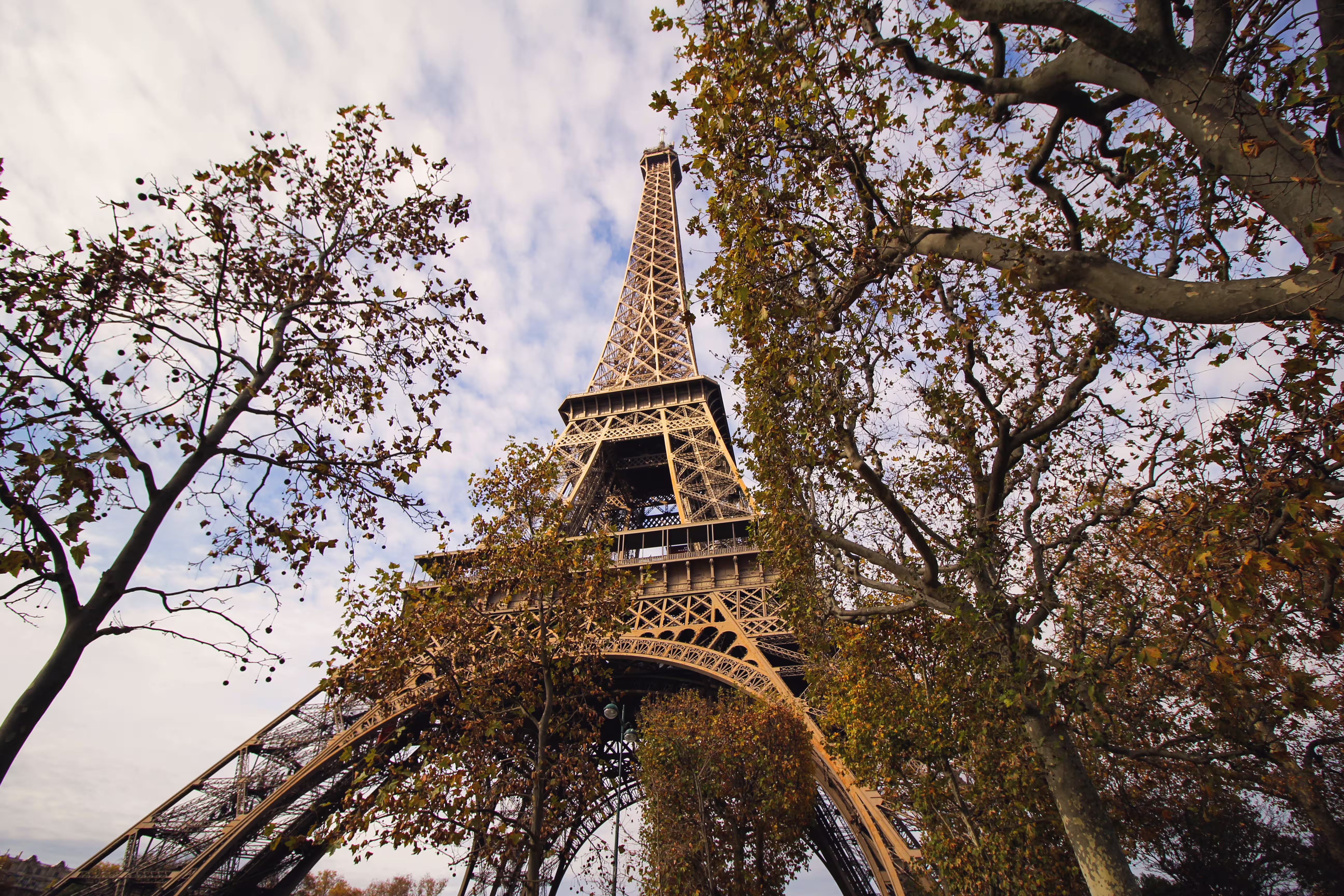 eiffel-tower-s-view-from-park