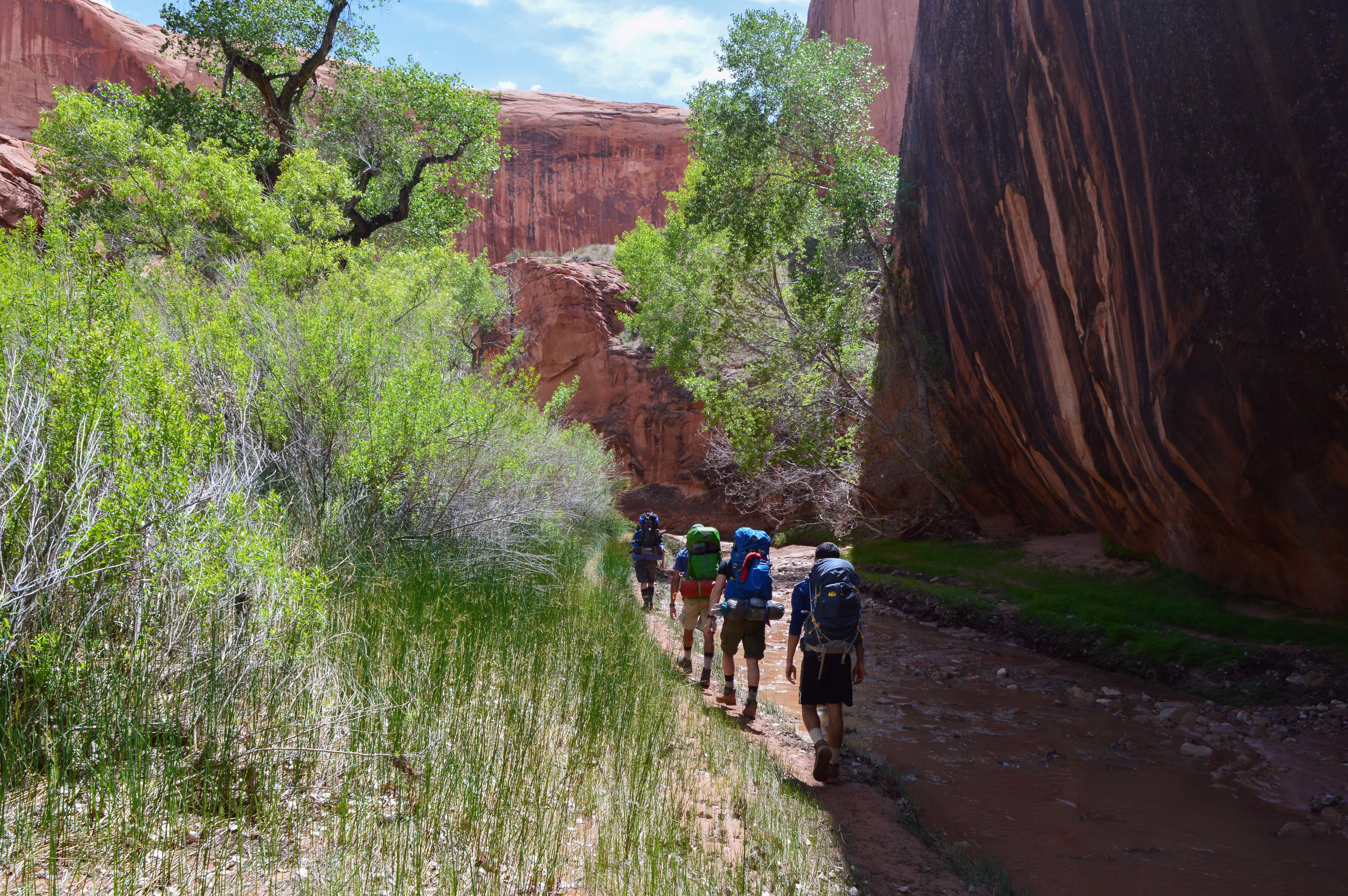 Hikers in a gorge