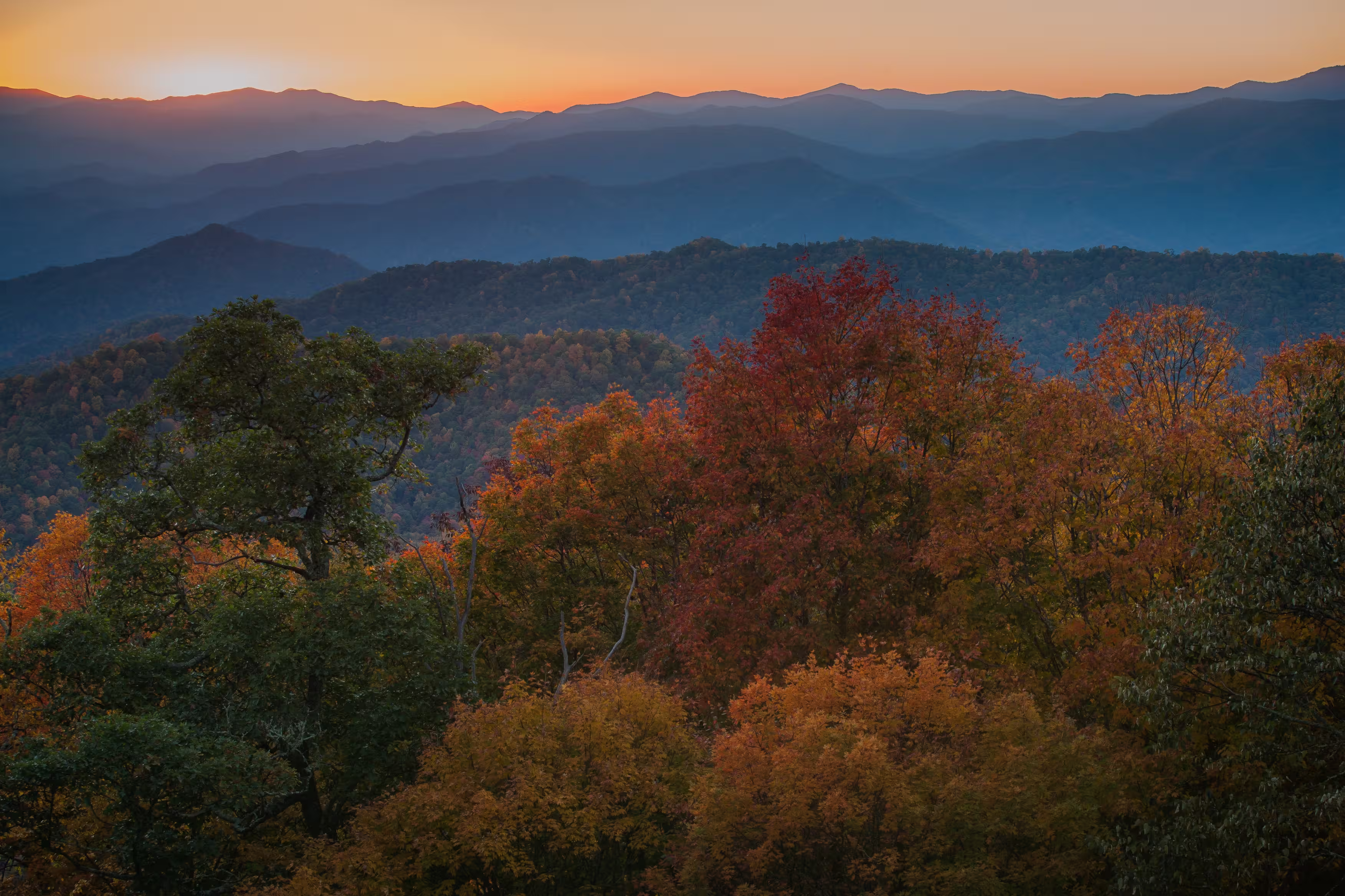 Densely forested mountain range in Great Smoky Mountains National Park in autumn
