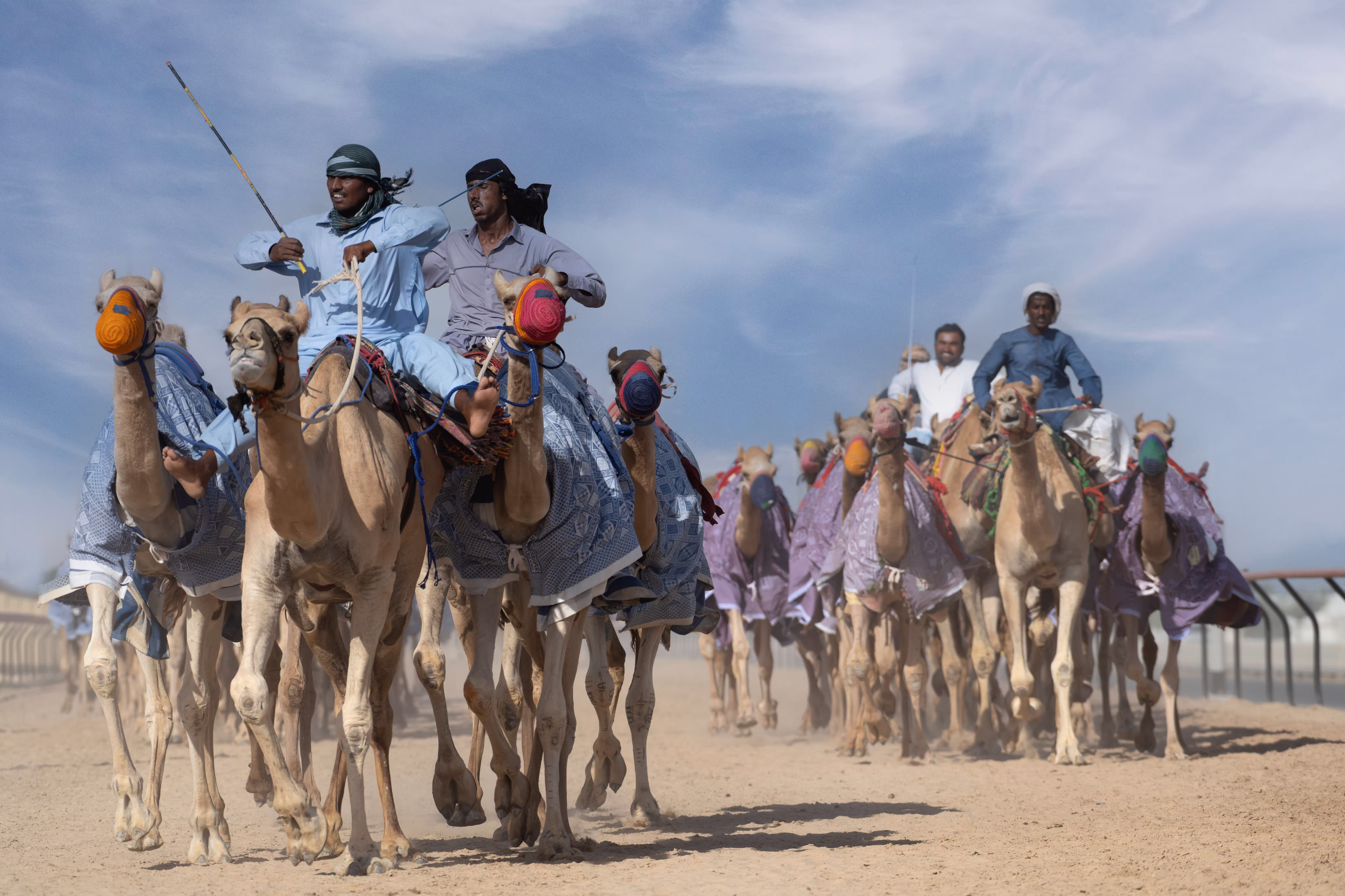 Camel riding in the Qatar desert