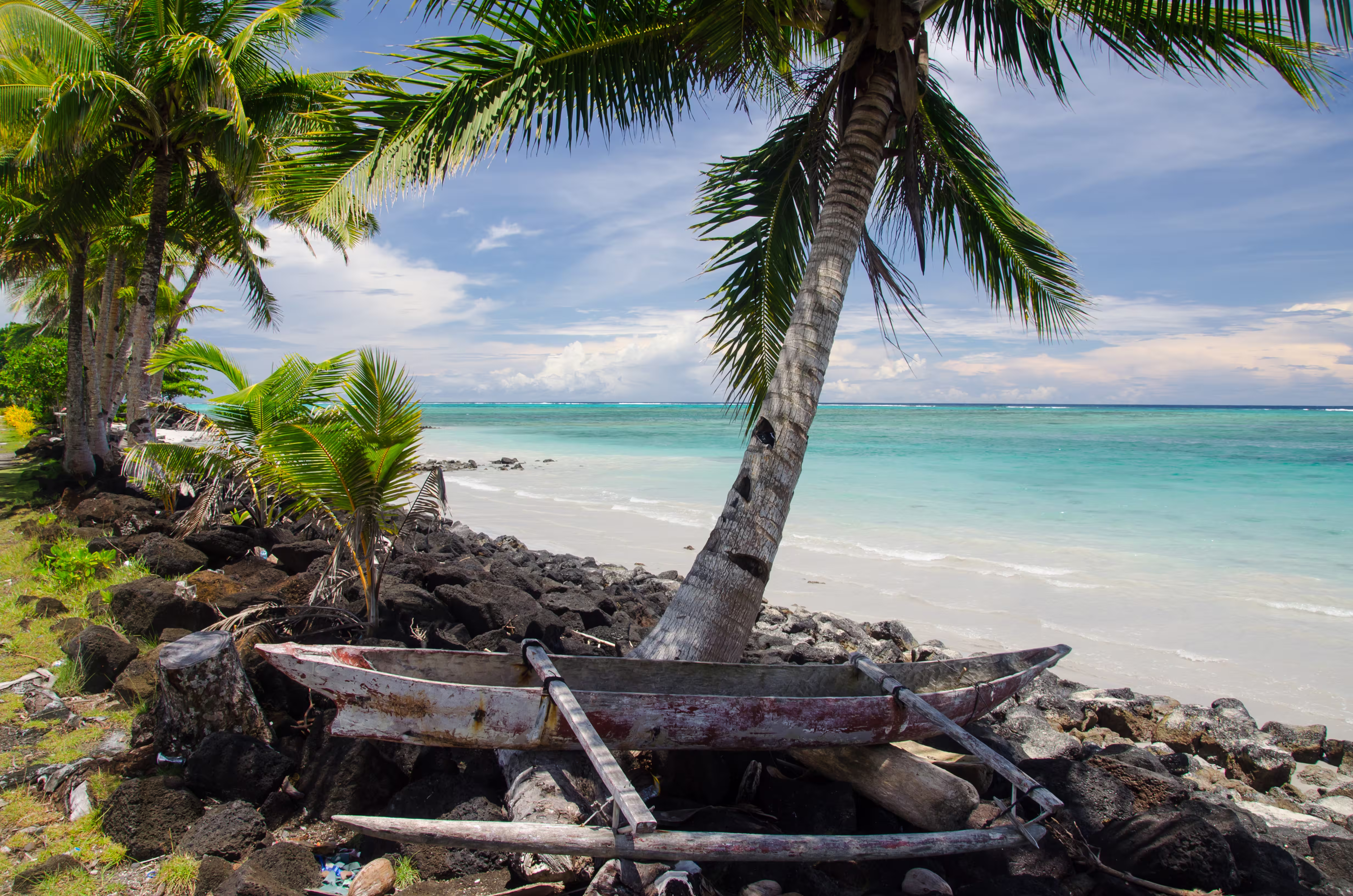 old wooden boat shore surrounded by sea palm trees