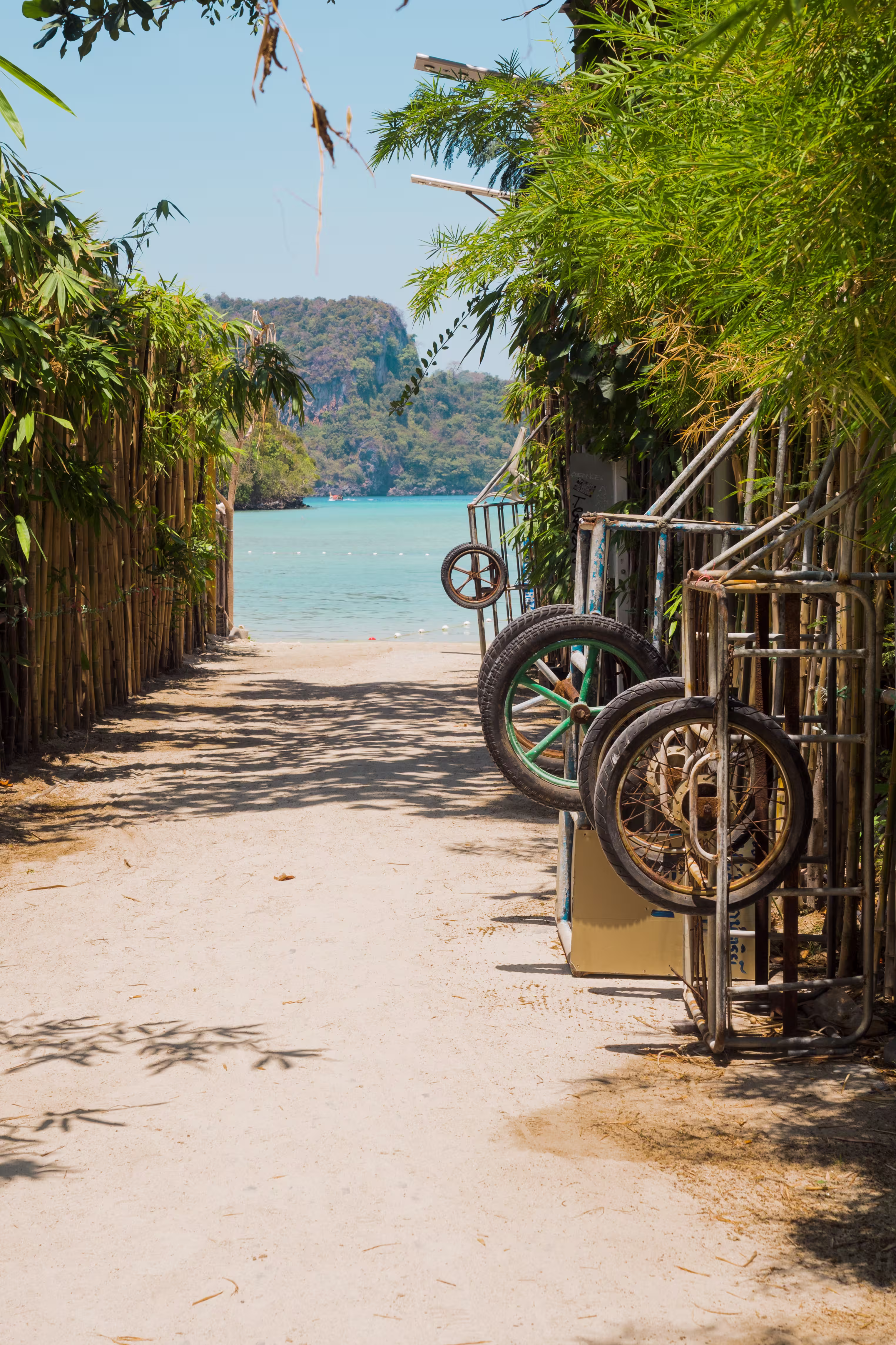 Path leading toward a beautiful tropical beach