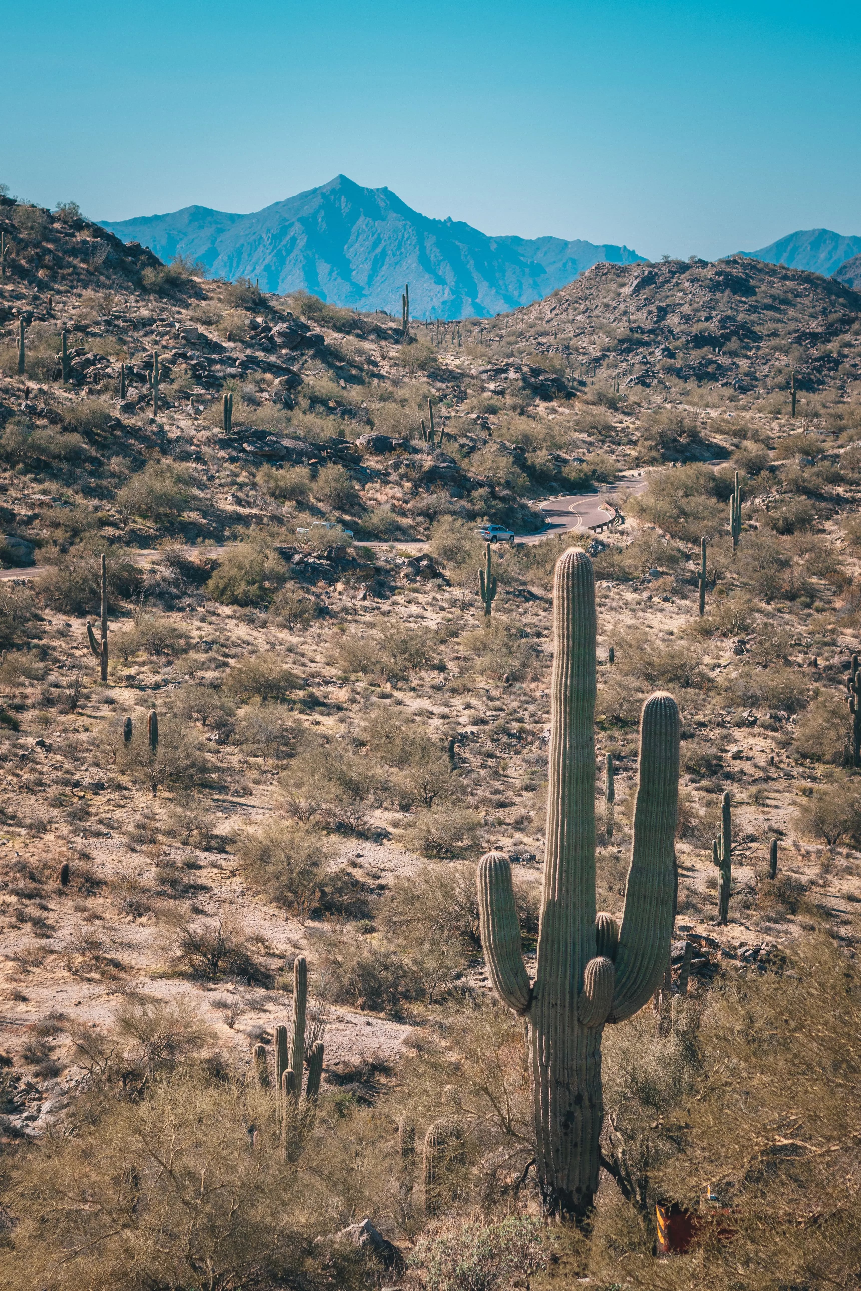 phoenix-landscape-img