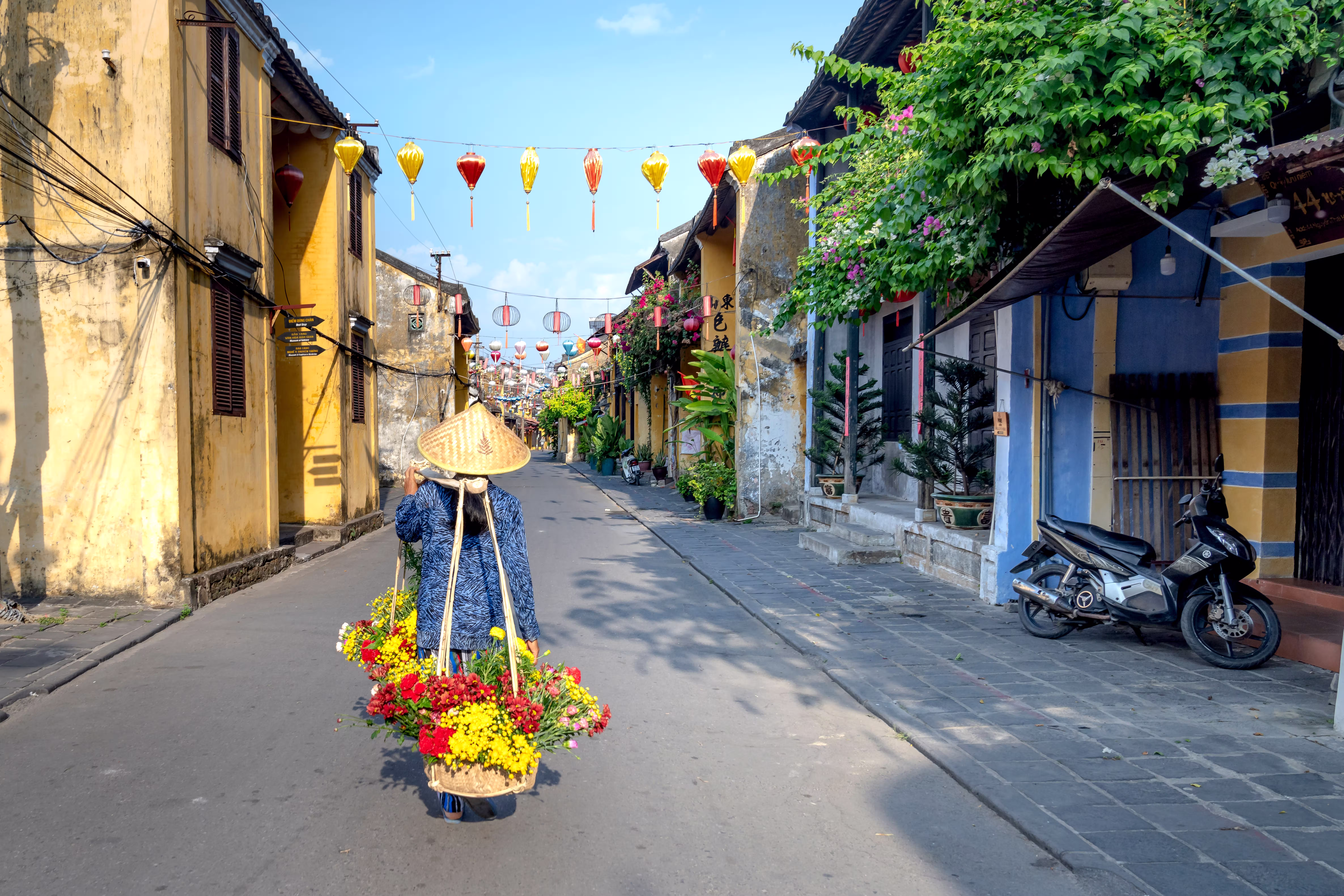 pexels-quang-nguyen-vinh-222549-6711284