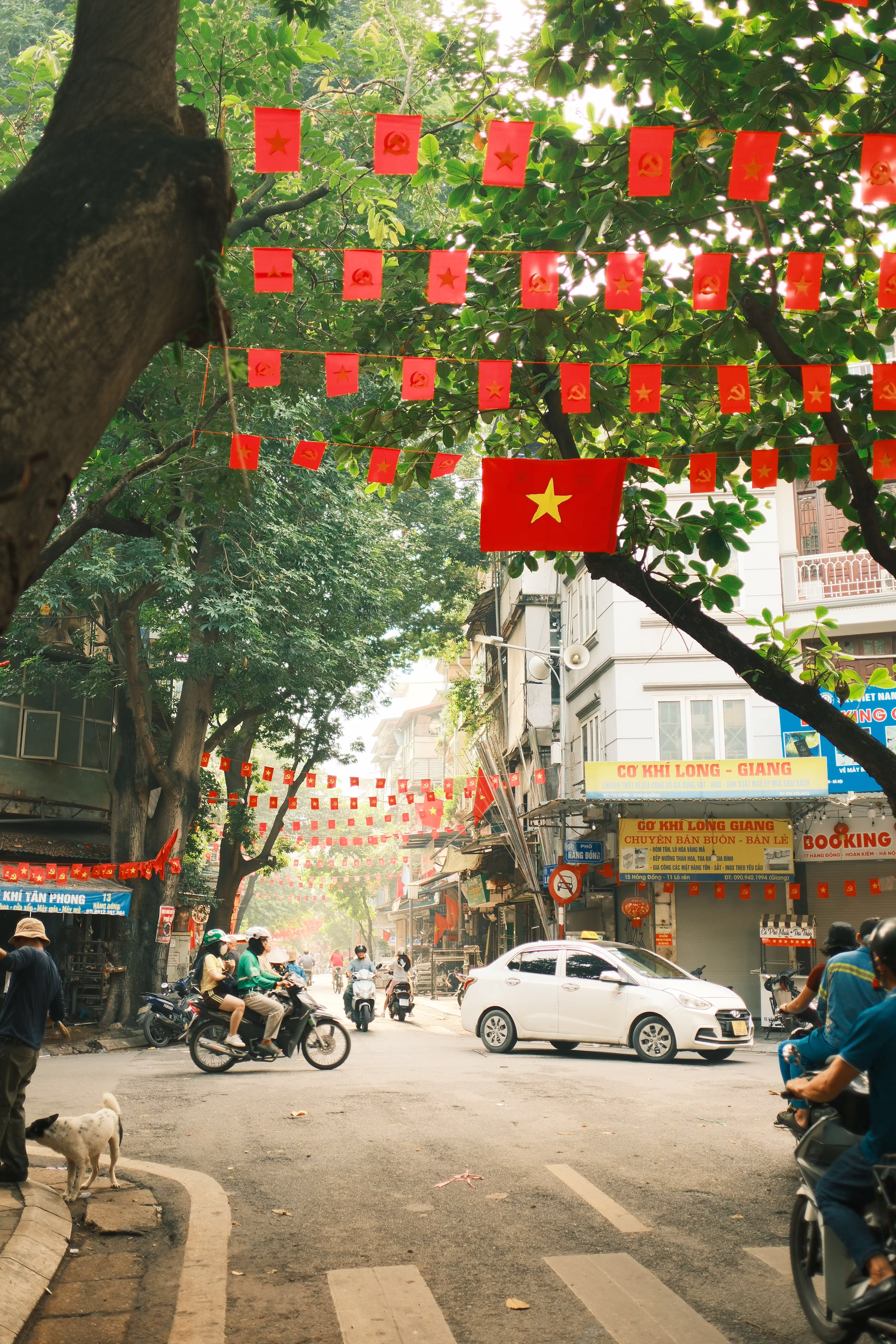 pexels-thuan-34291307