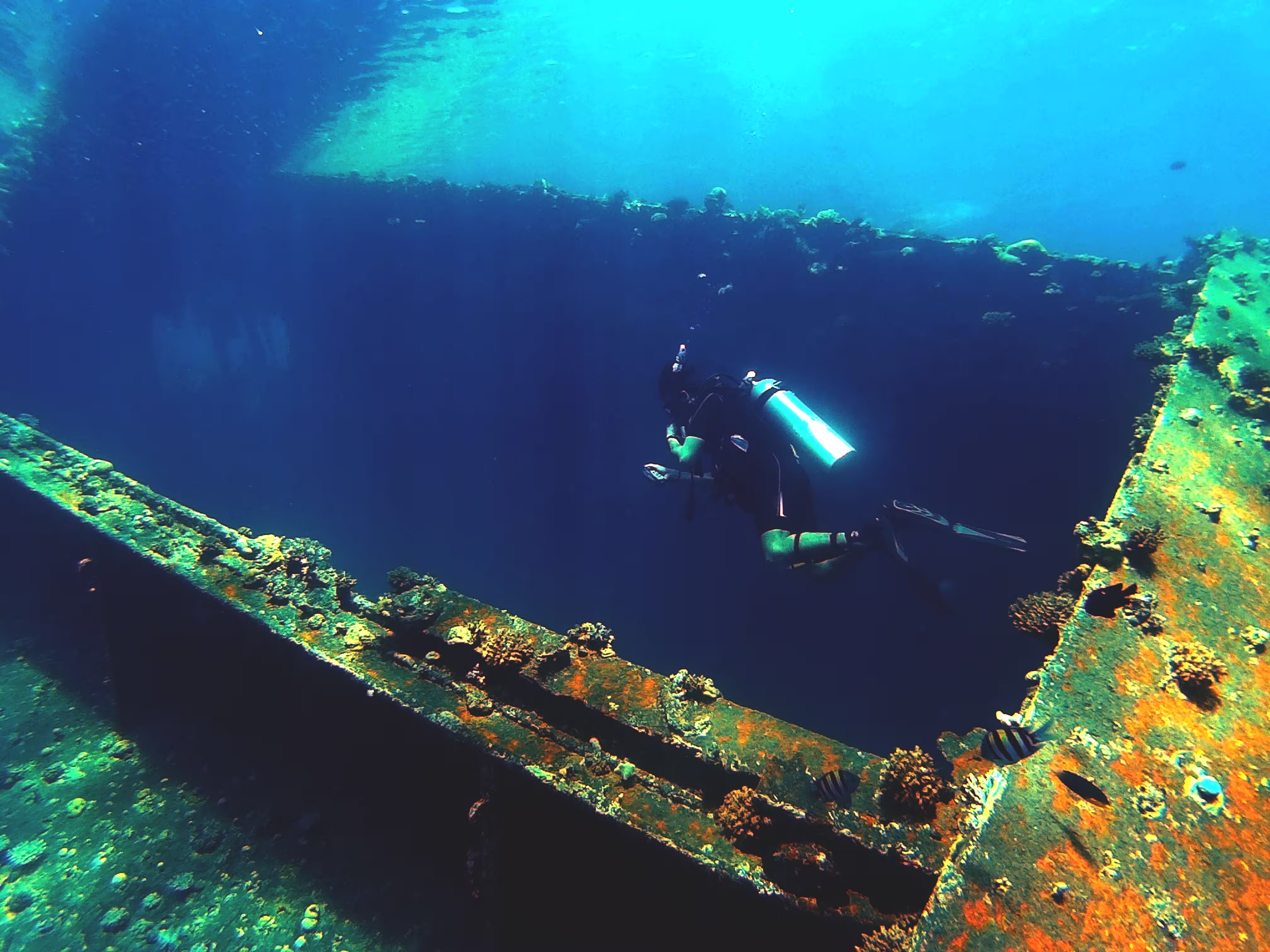 Scuba diver in the Red Sea