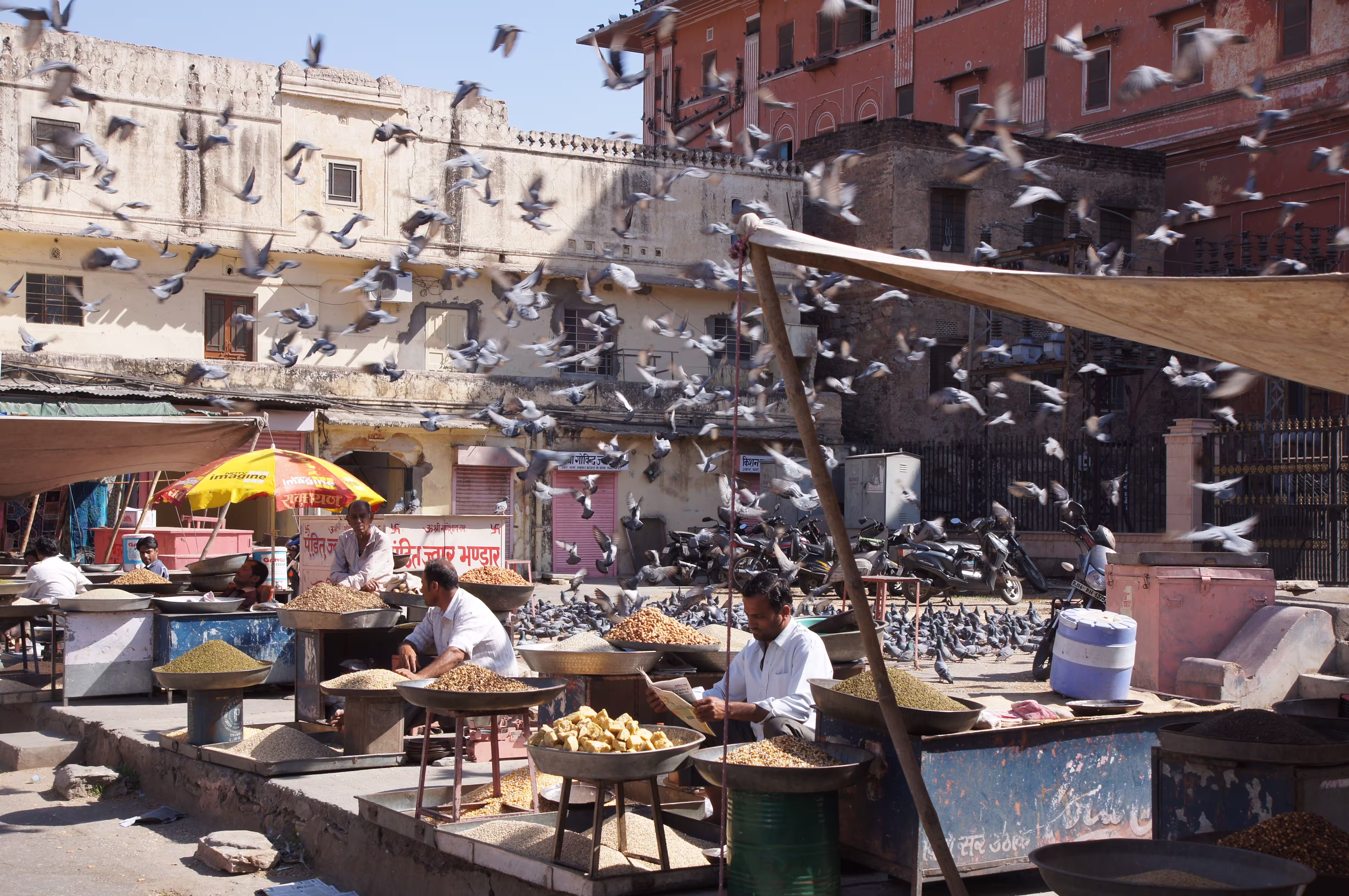 Pigeons flying over market stalls in Jaipur