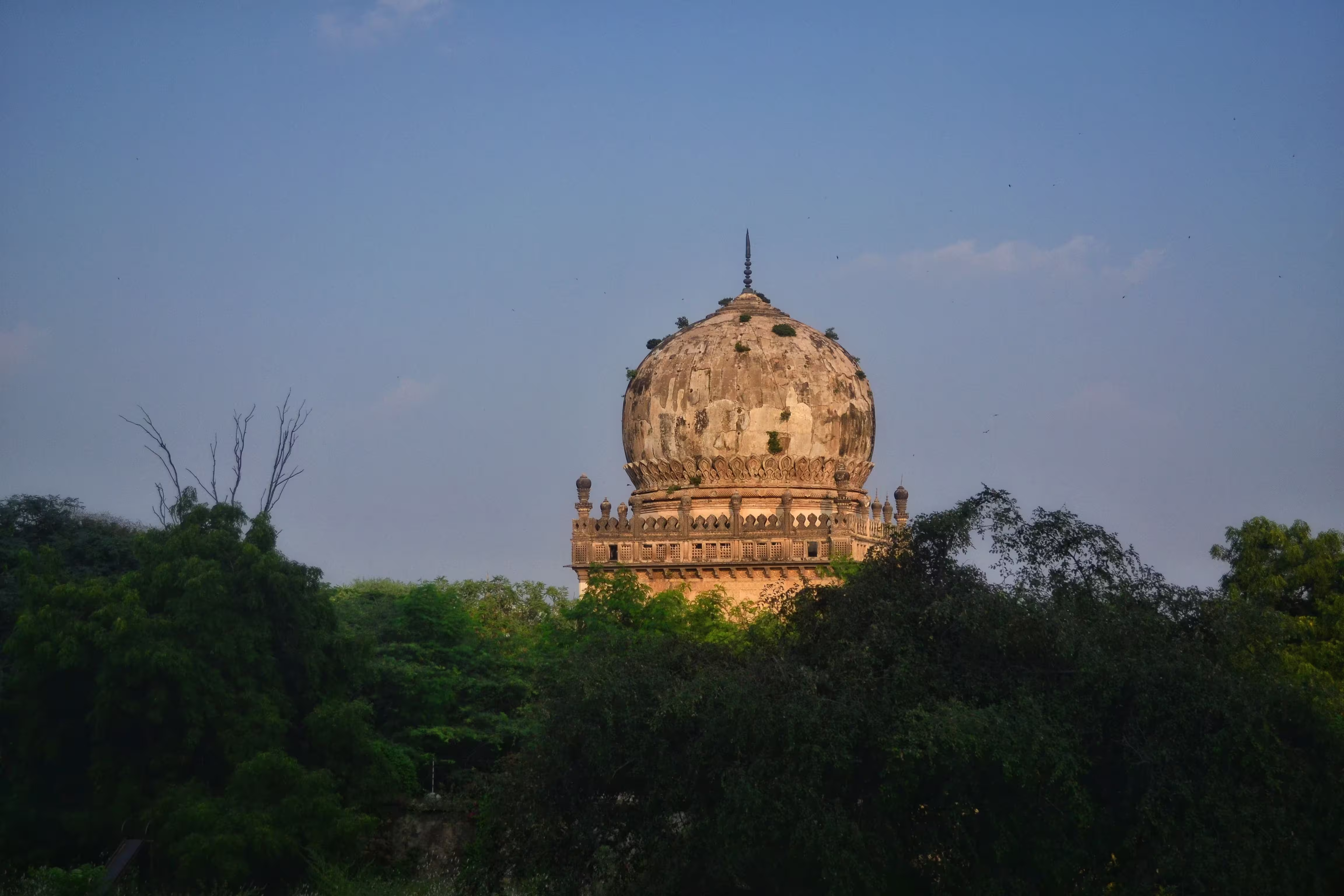 Qutb Shahi Tombs building behind forest trees