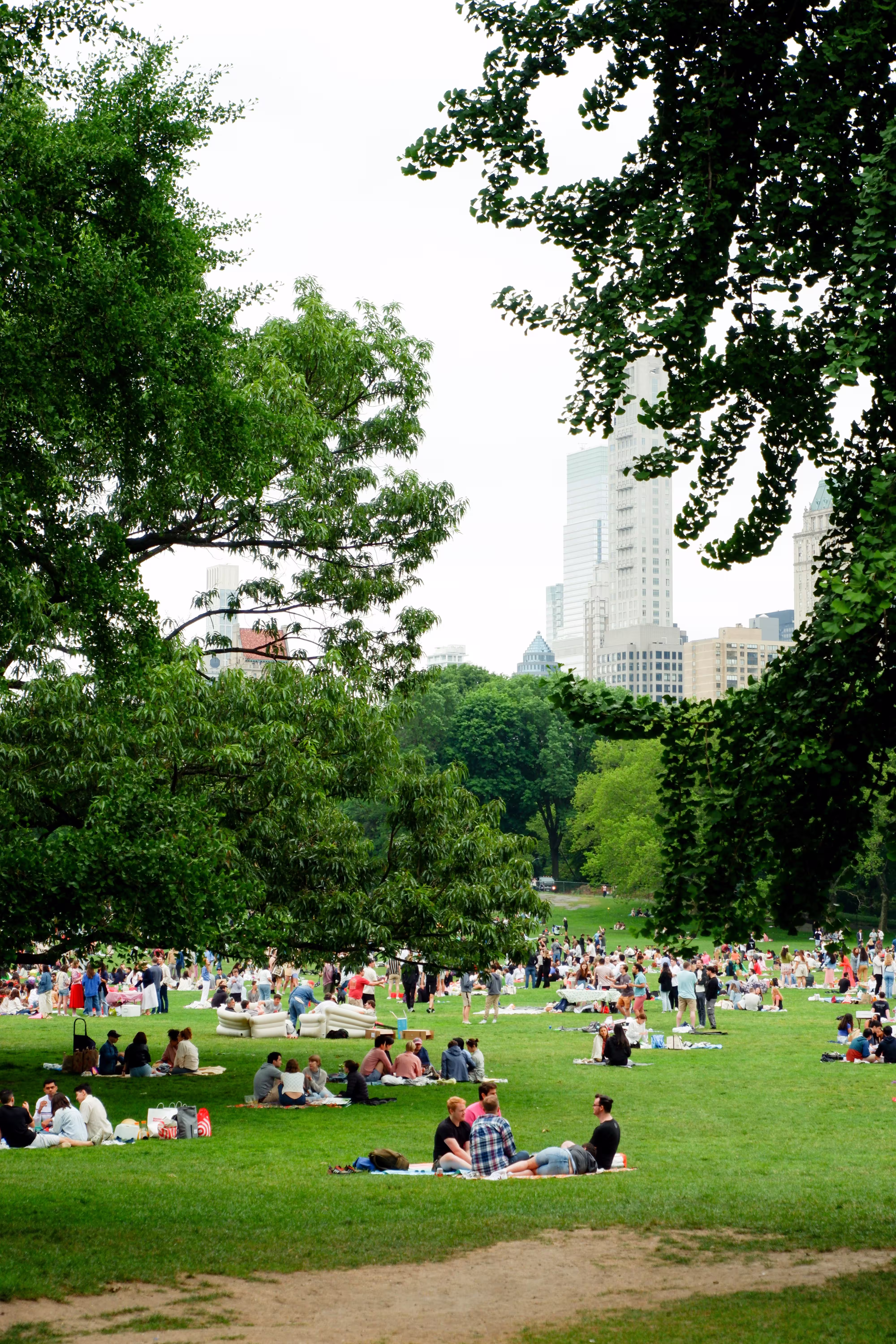 relaxing day in Central Park New York City