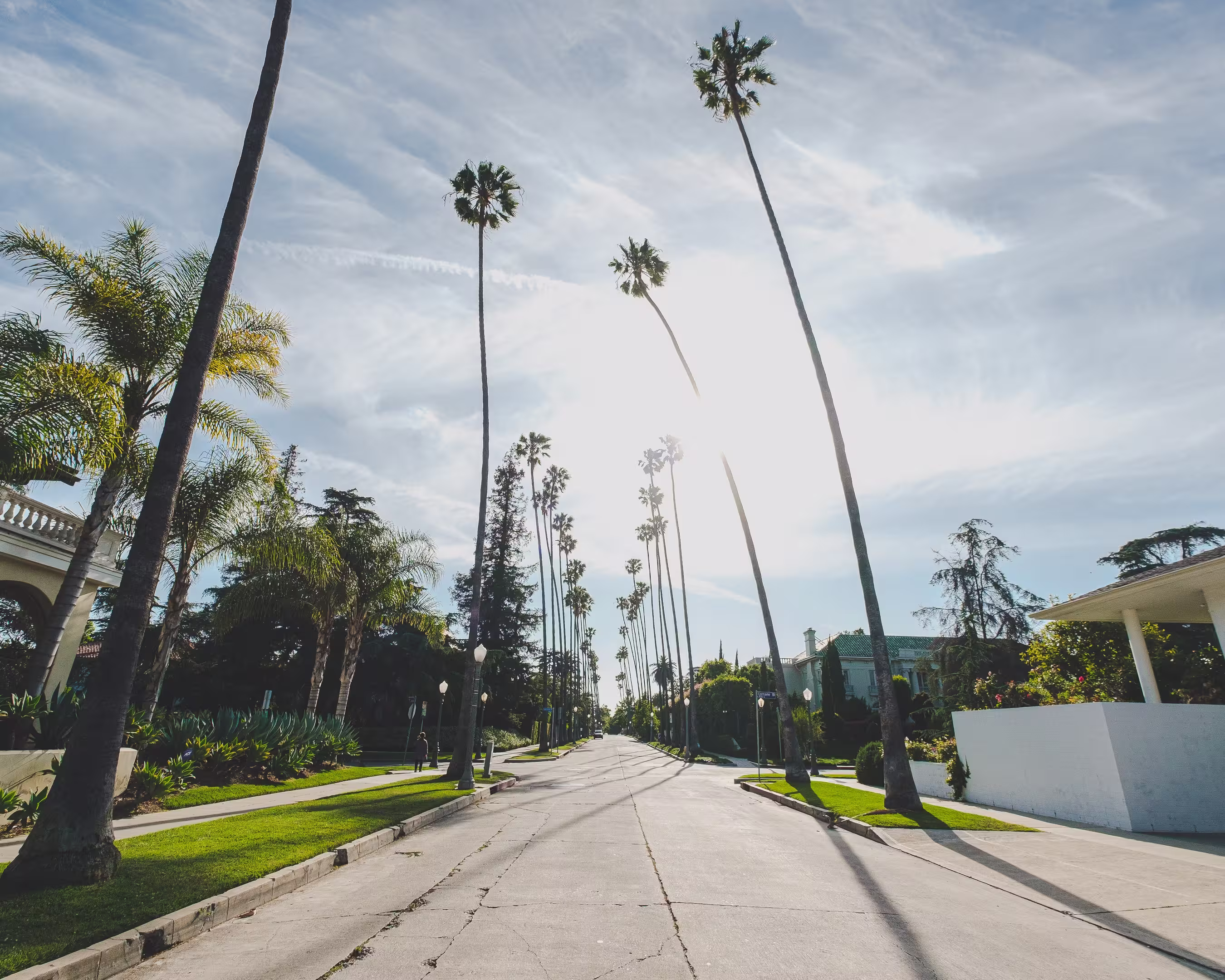 road-middle-buildings-palm-trees-blue-cloudy-sky