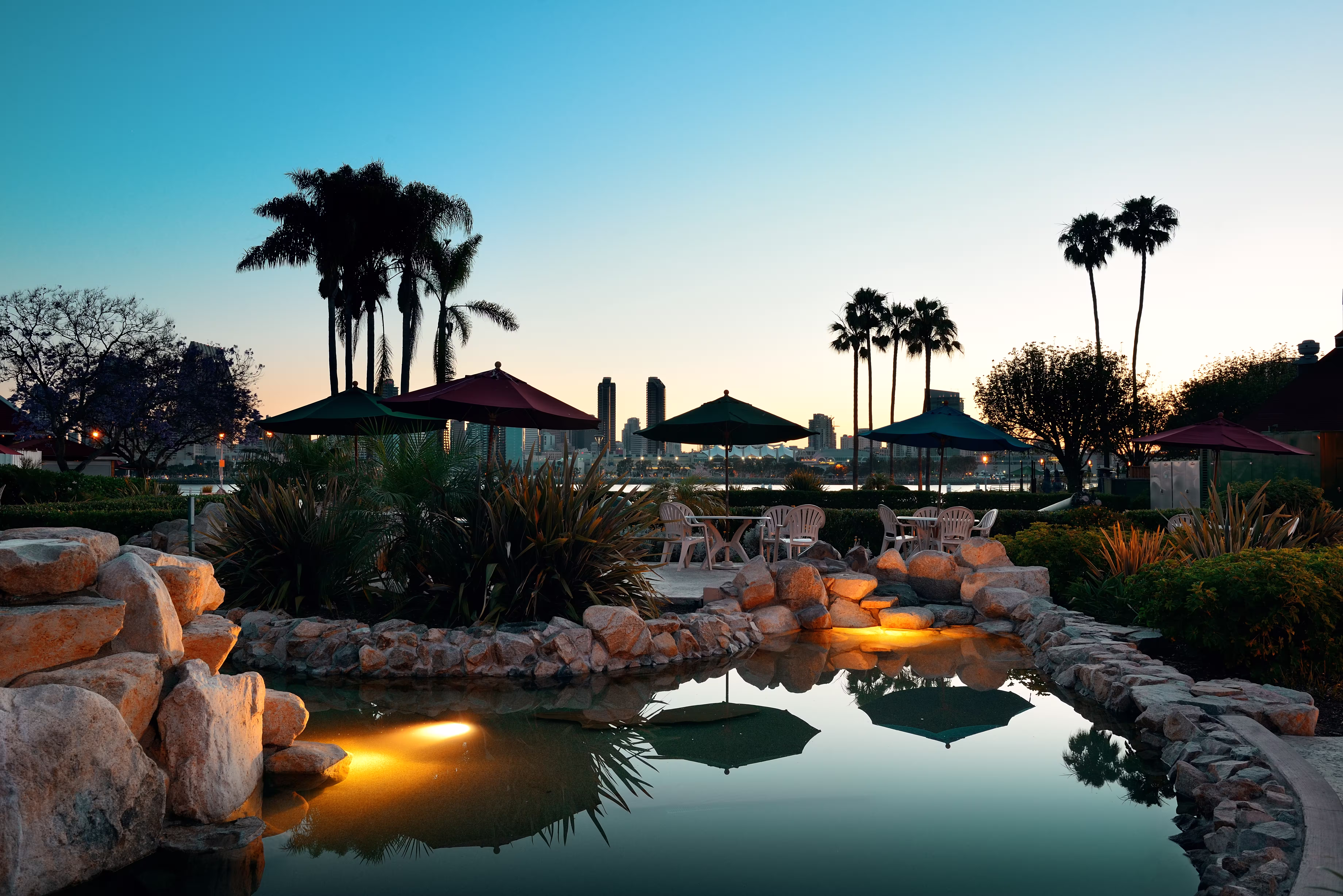 san-diego-dawn-early-morning-with-palm-tree-silhou
