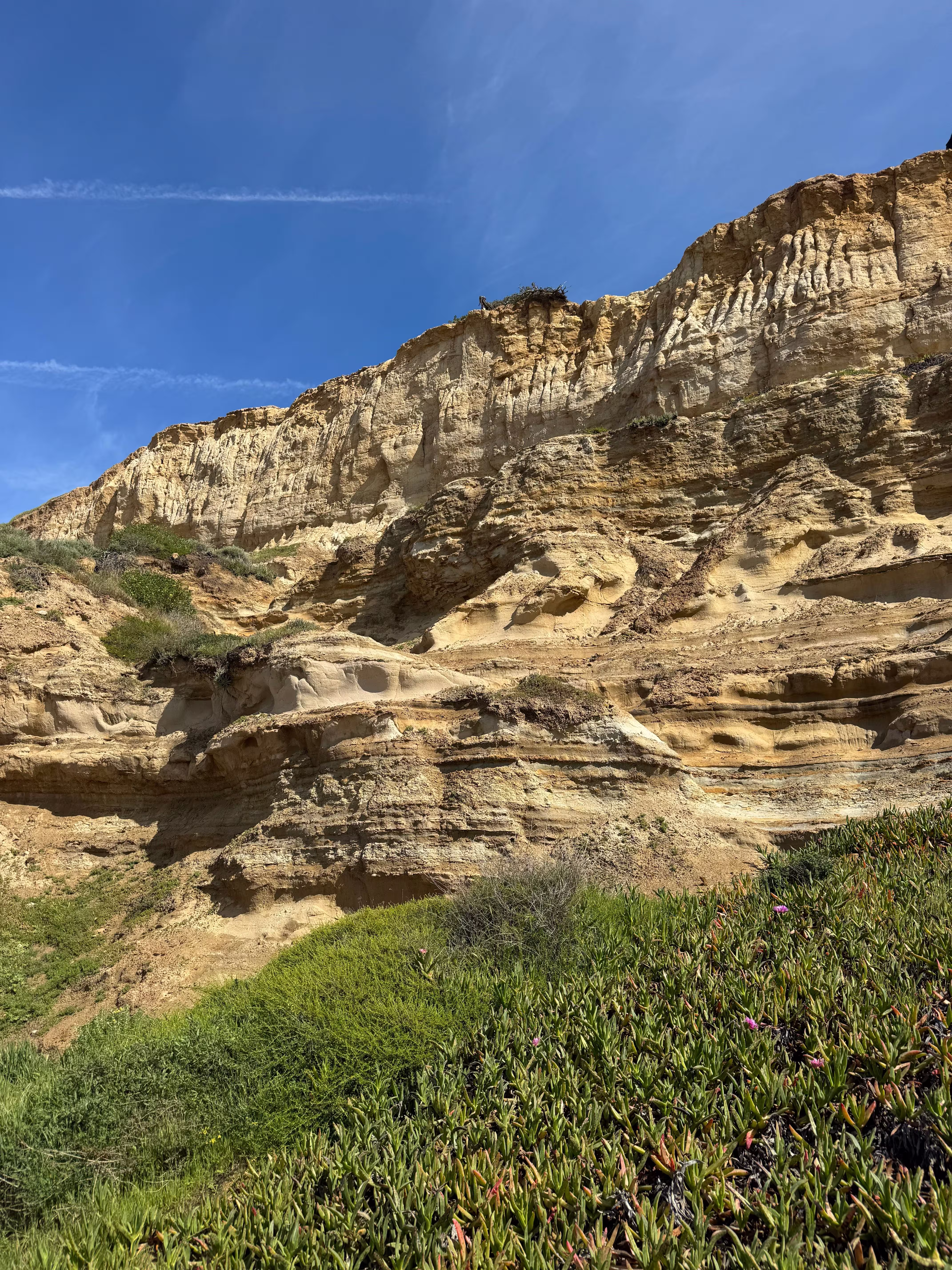 torrey-pines-san-diego-img