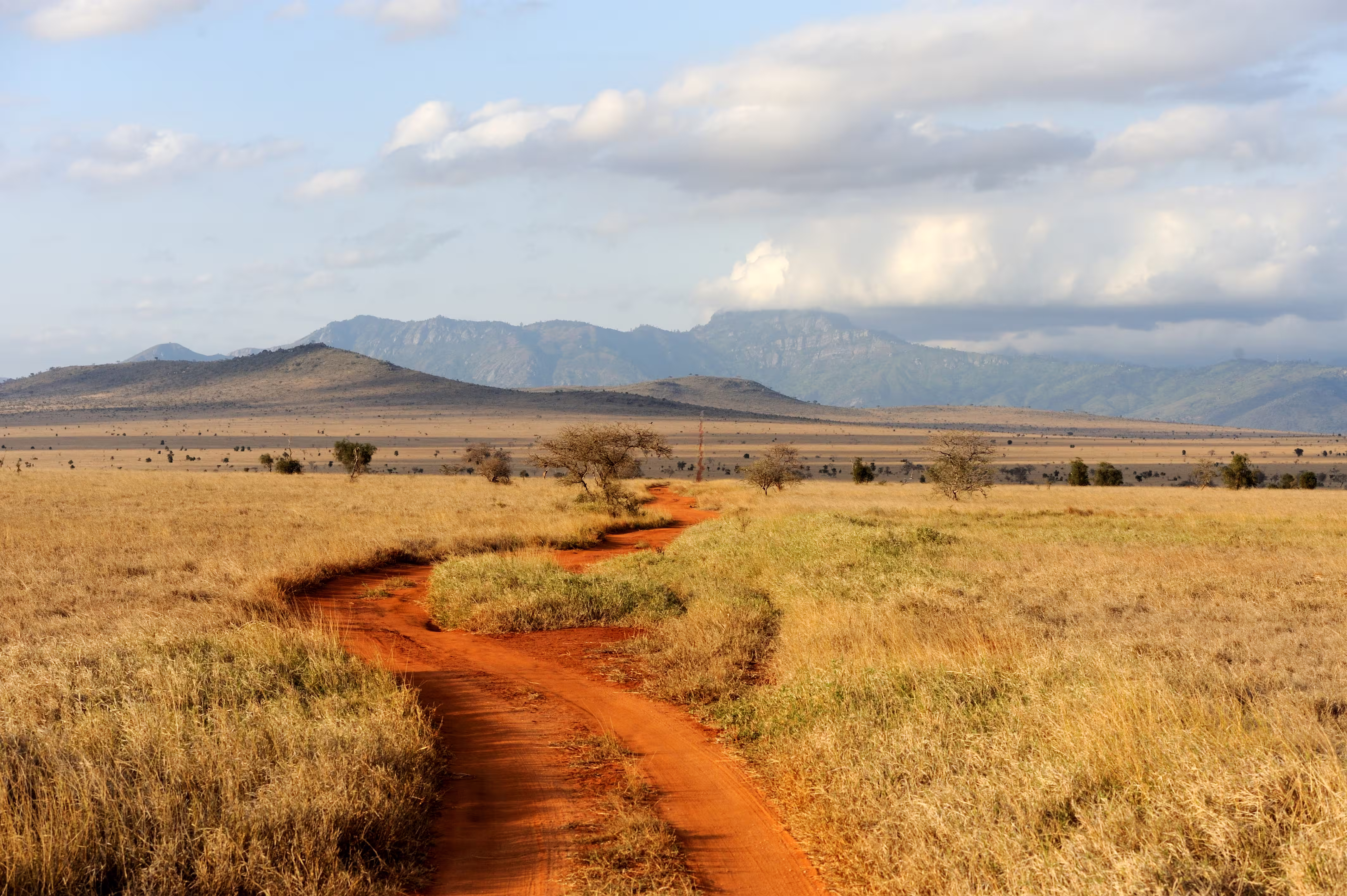 savannah-landscape-national-park-kenya-africa