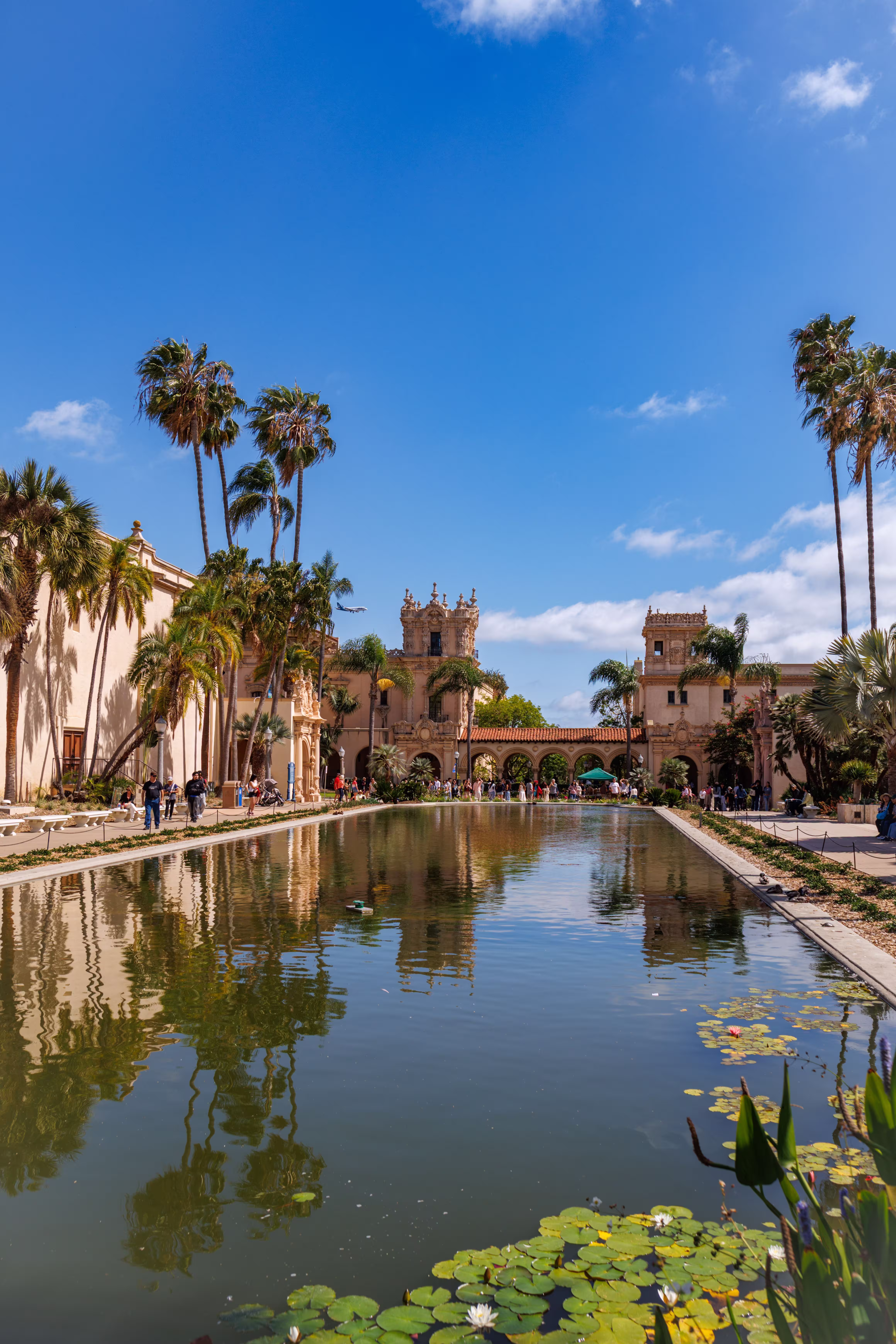 Scenic view of Balboa Park's Lily Pond