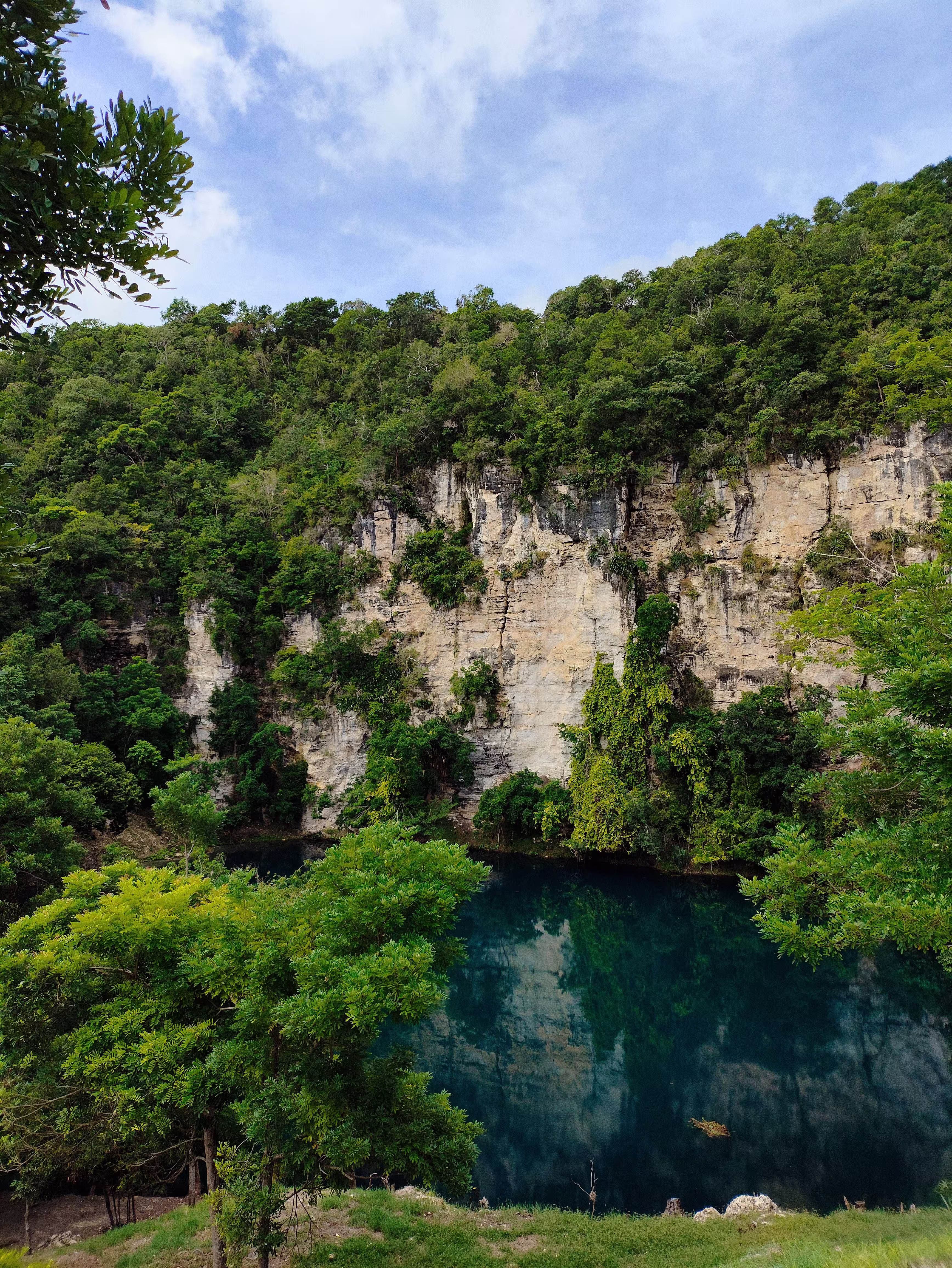 Scenic natural cenote in Quintana Roo