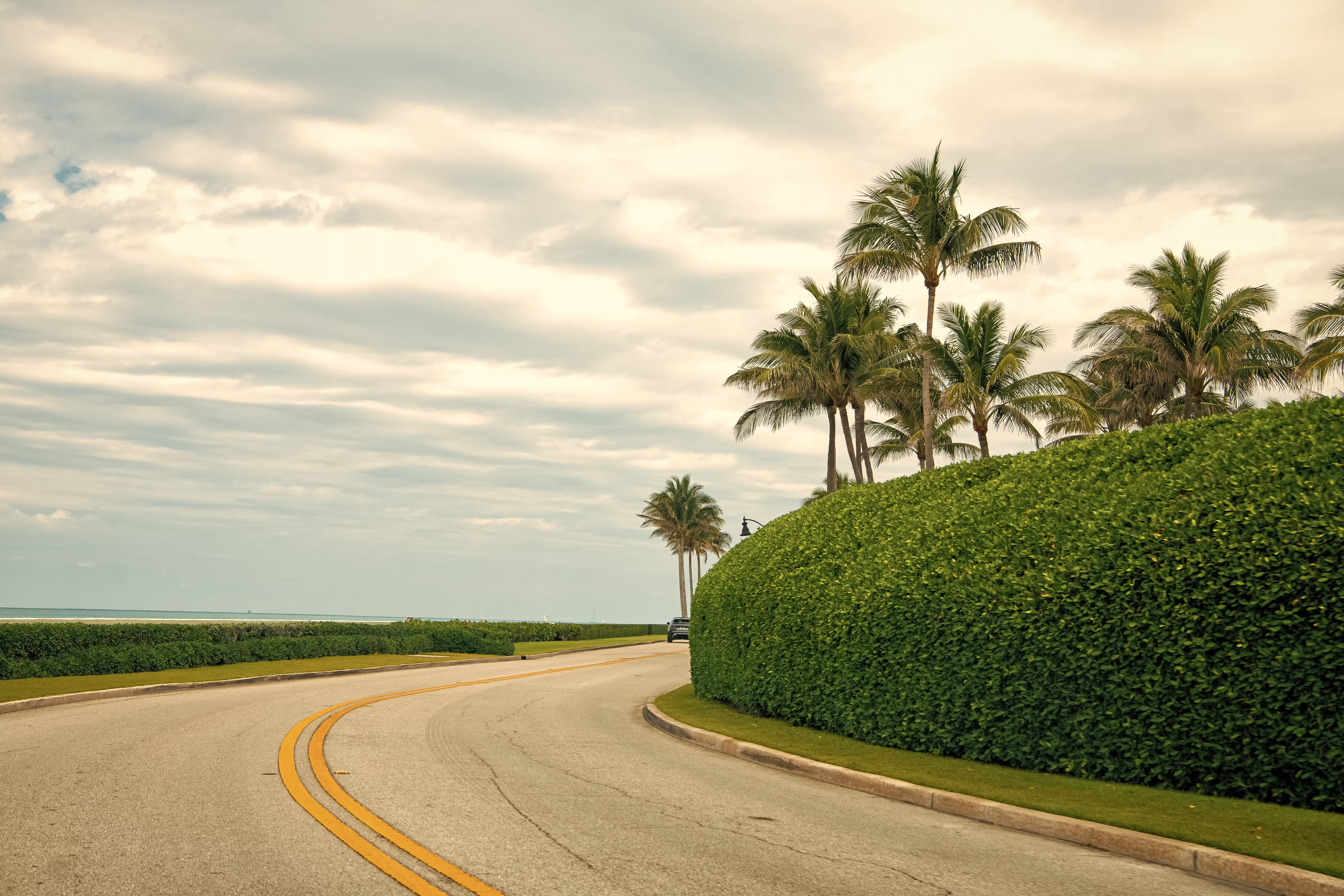 seaside-highway-along-bush-fence-cloudy-outdoors-p