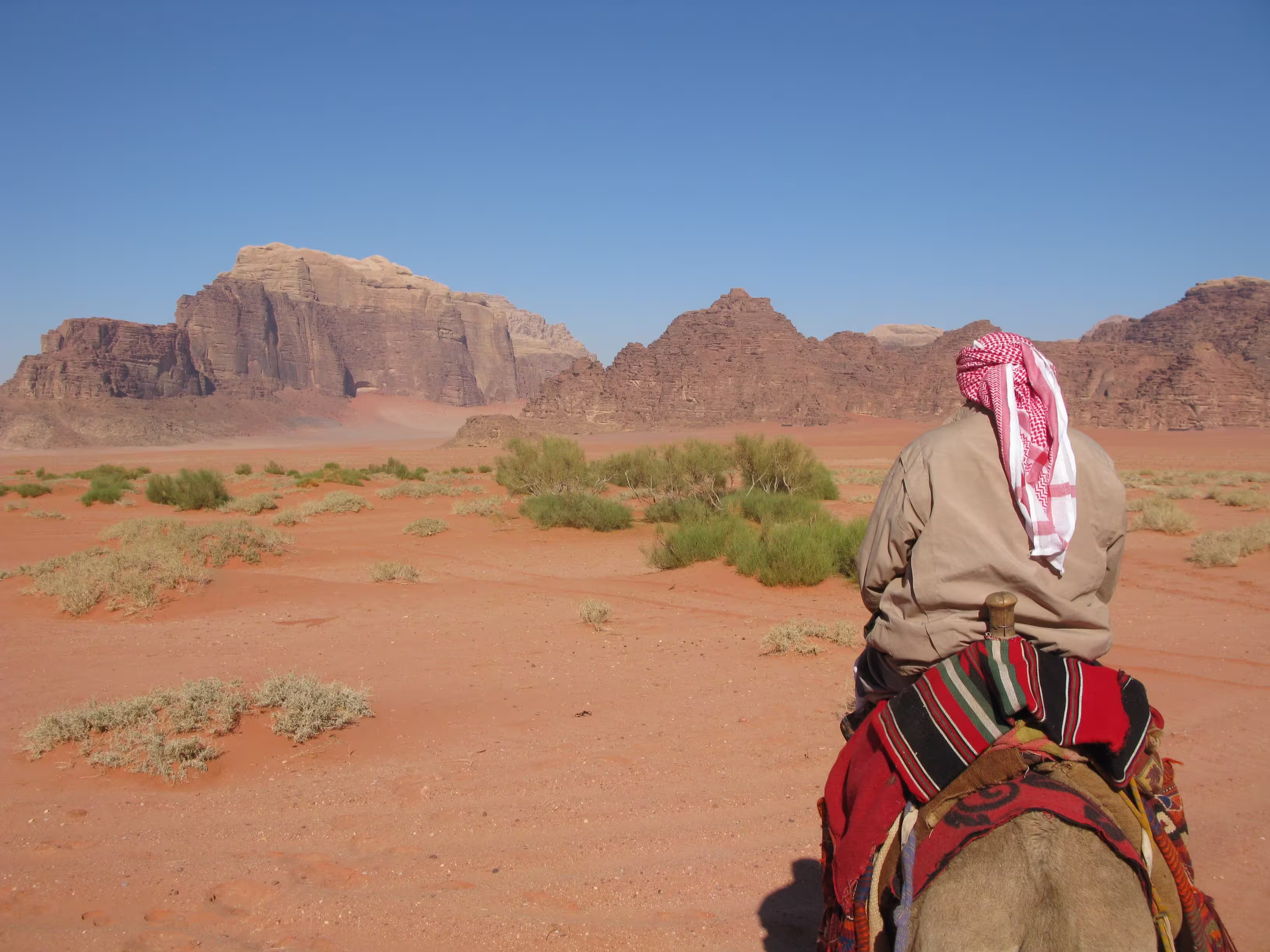 shallow-focus-shot-arabian-male-traveling-horse-de