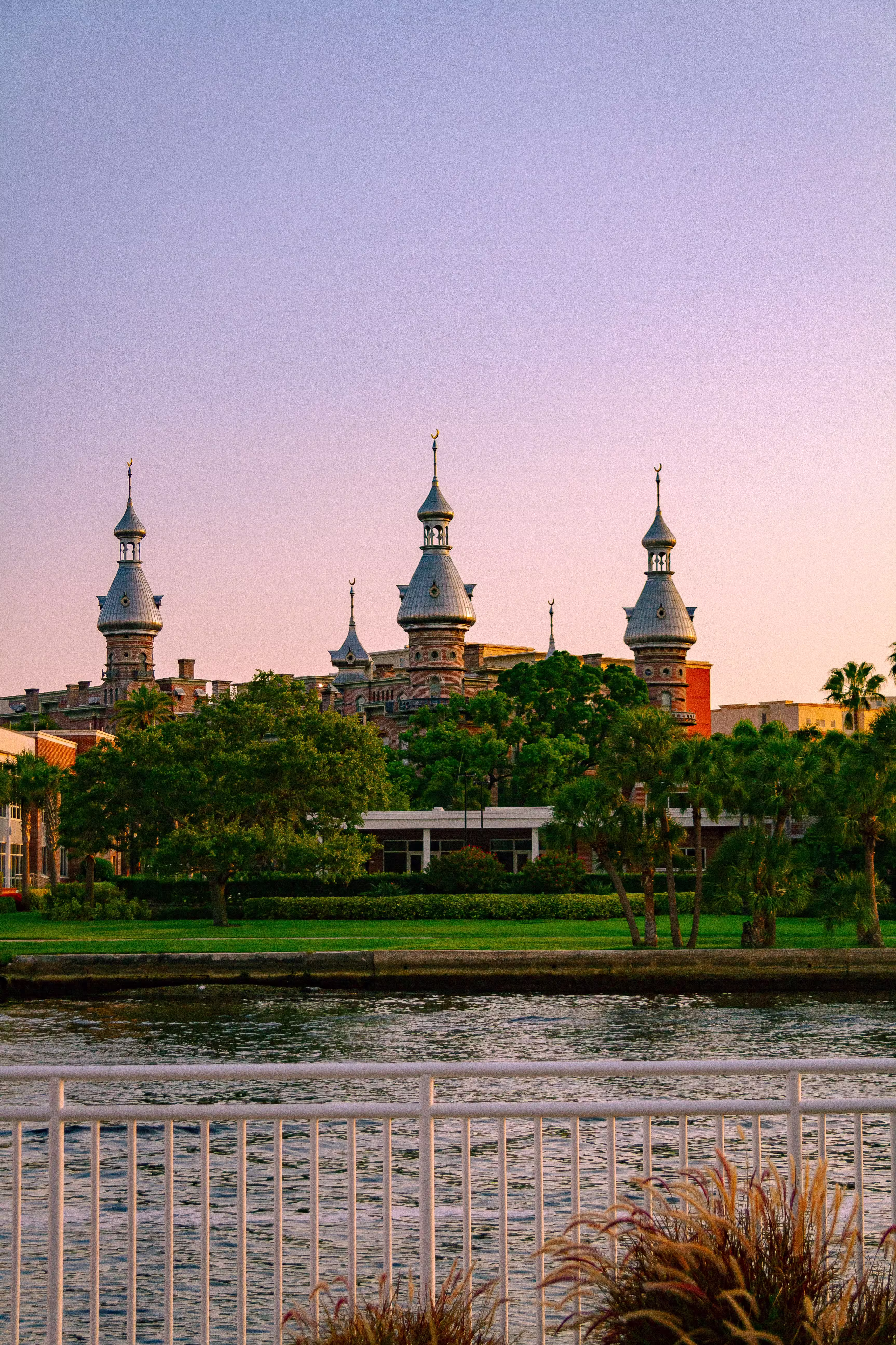 tampa-university-img