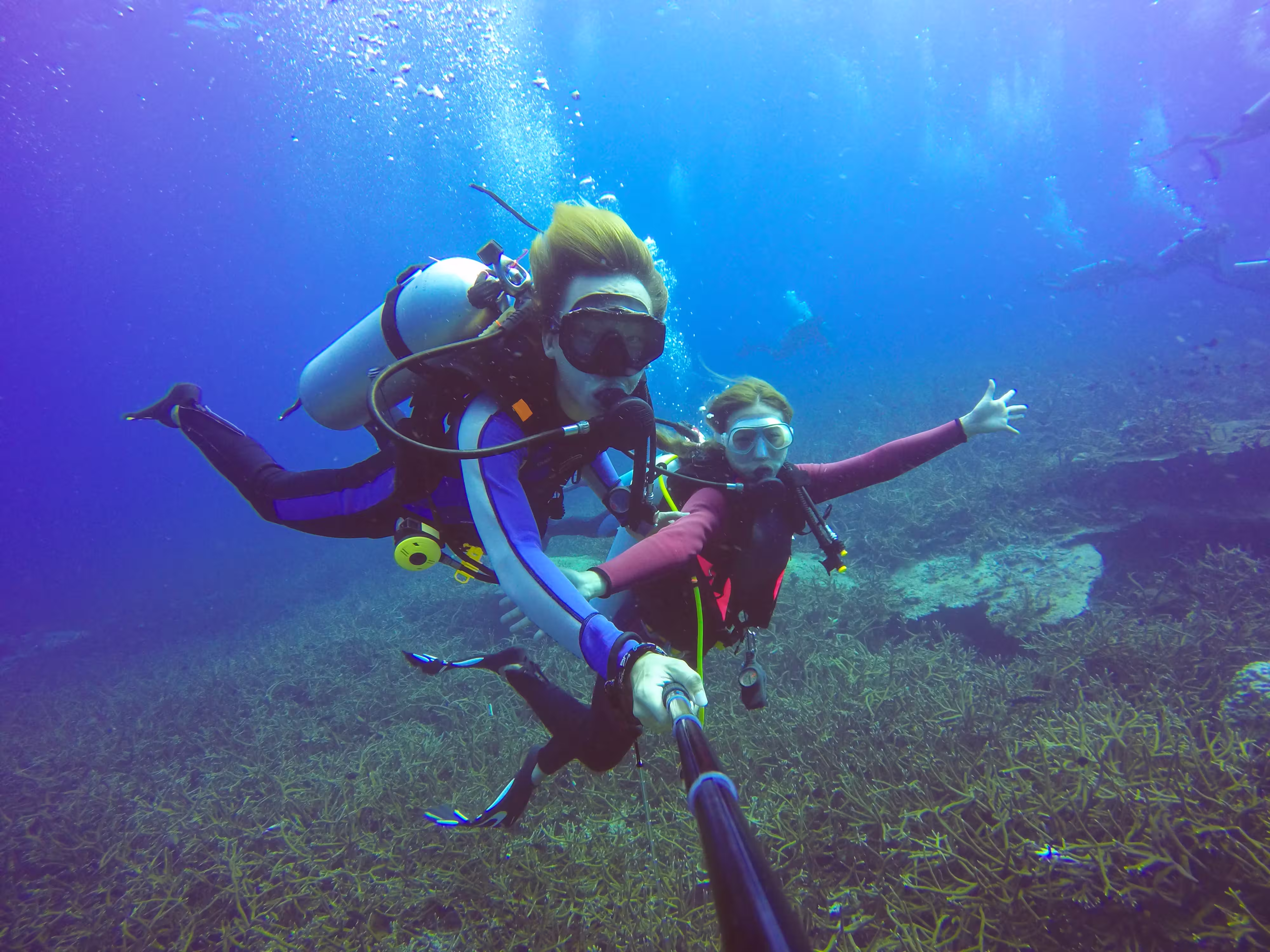 Hawaii snorkeling and diving