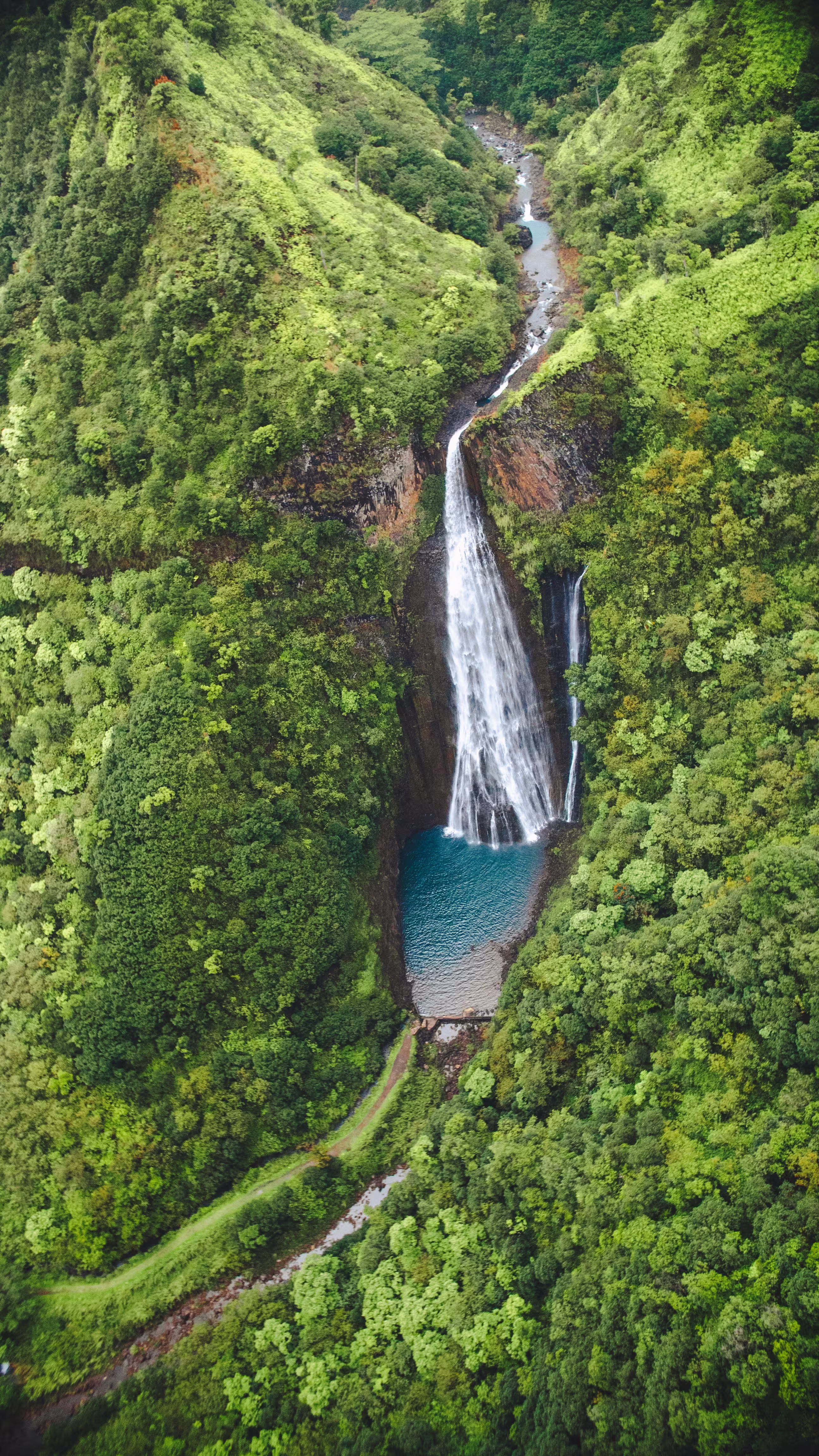 vertical-high-angle-shot-waterfall-forest-captured