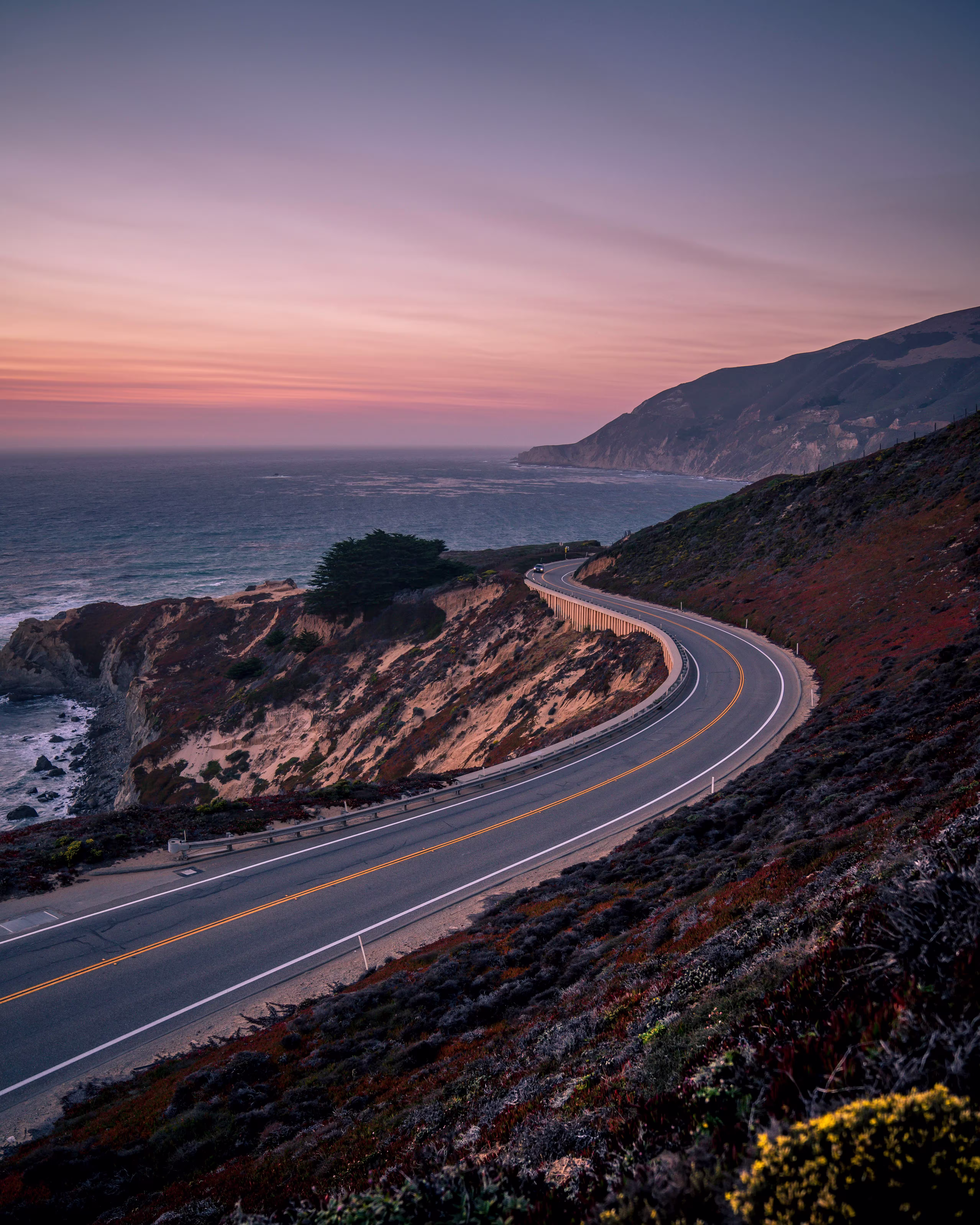 vertical shot pacific coast highway surrounded by