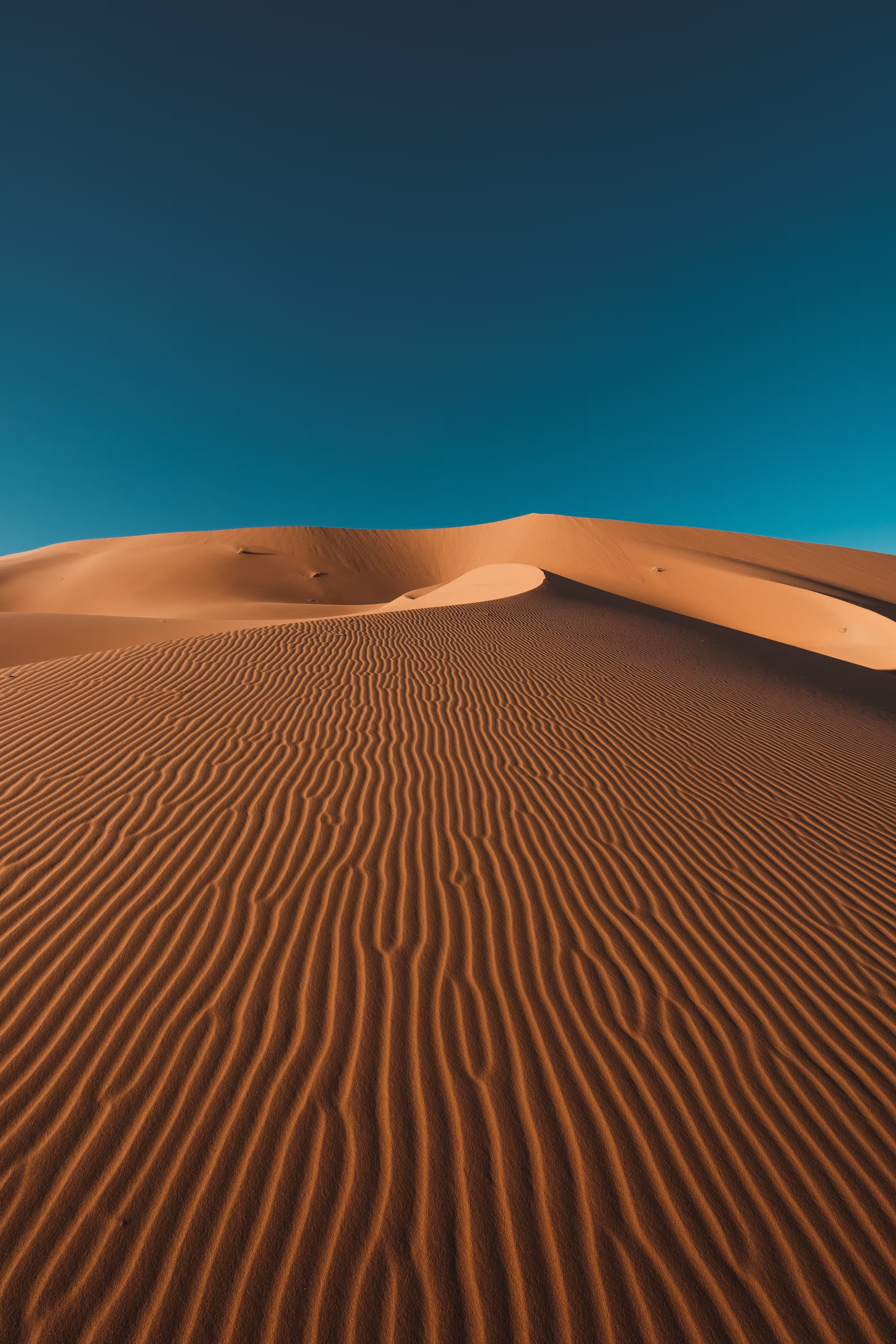 vertical-shot-peaceful-desert-clear-blue-sky-captu
