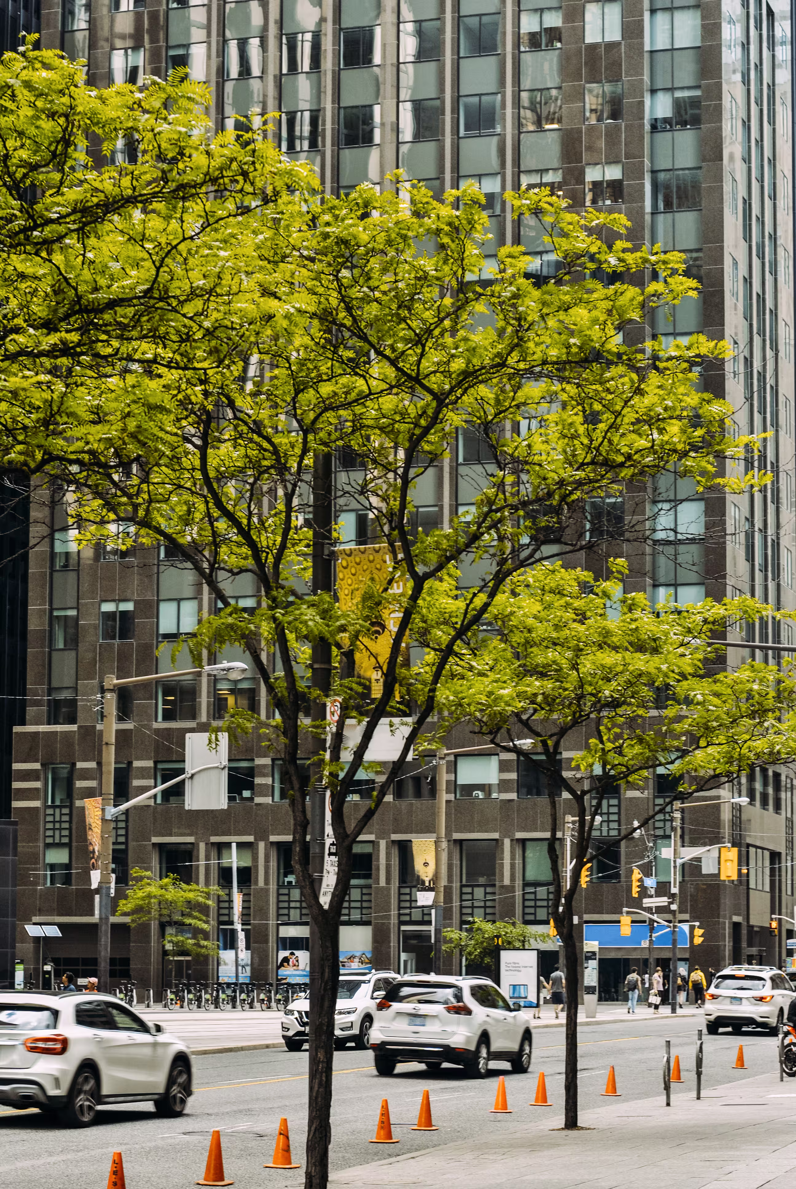 view-up-bay-street-downtown-toronto-day-hub-toront-img