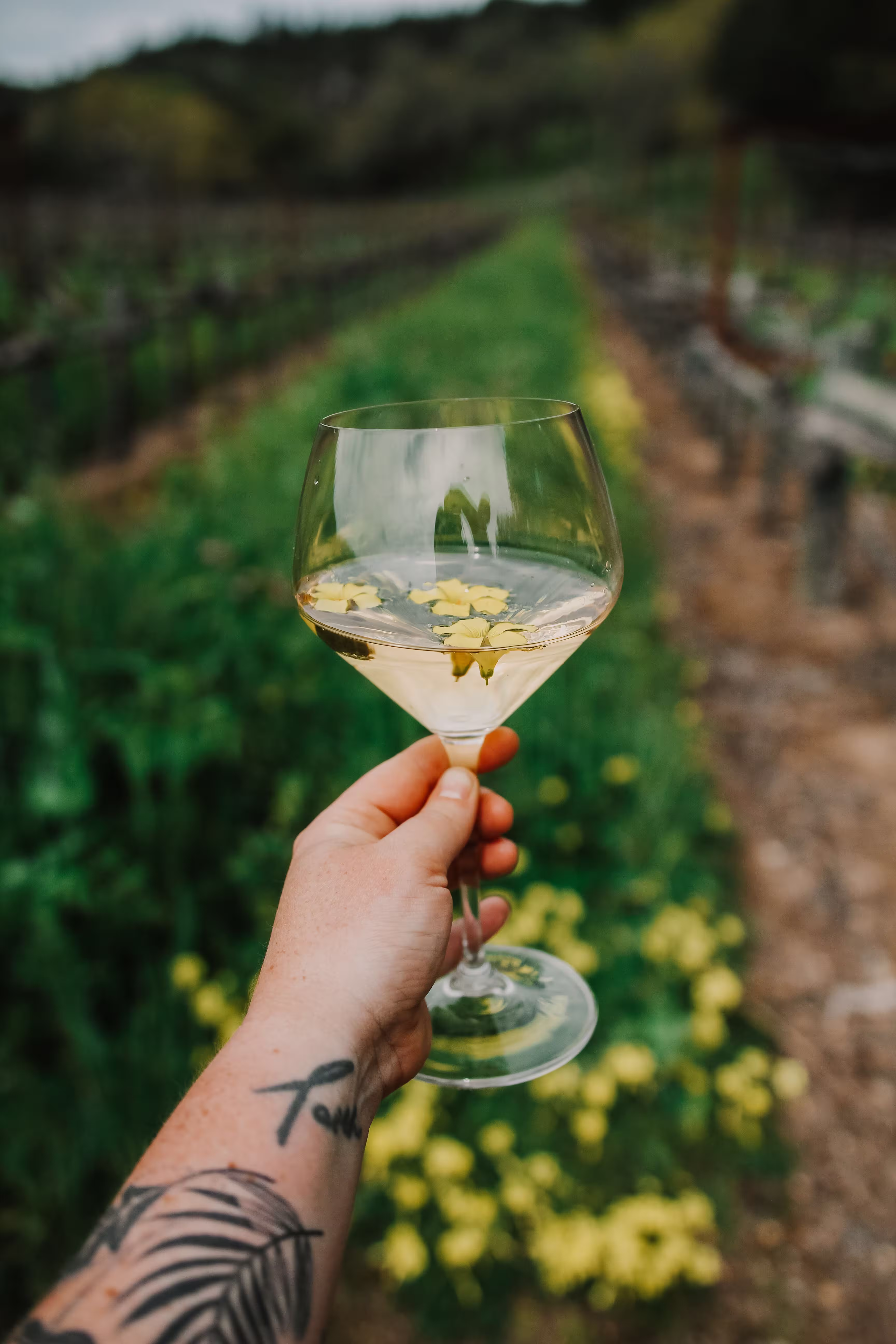 California wine