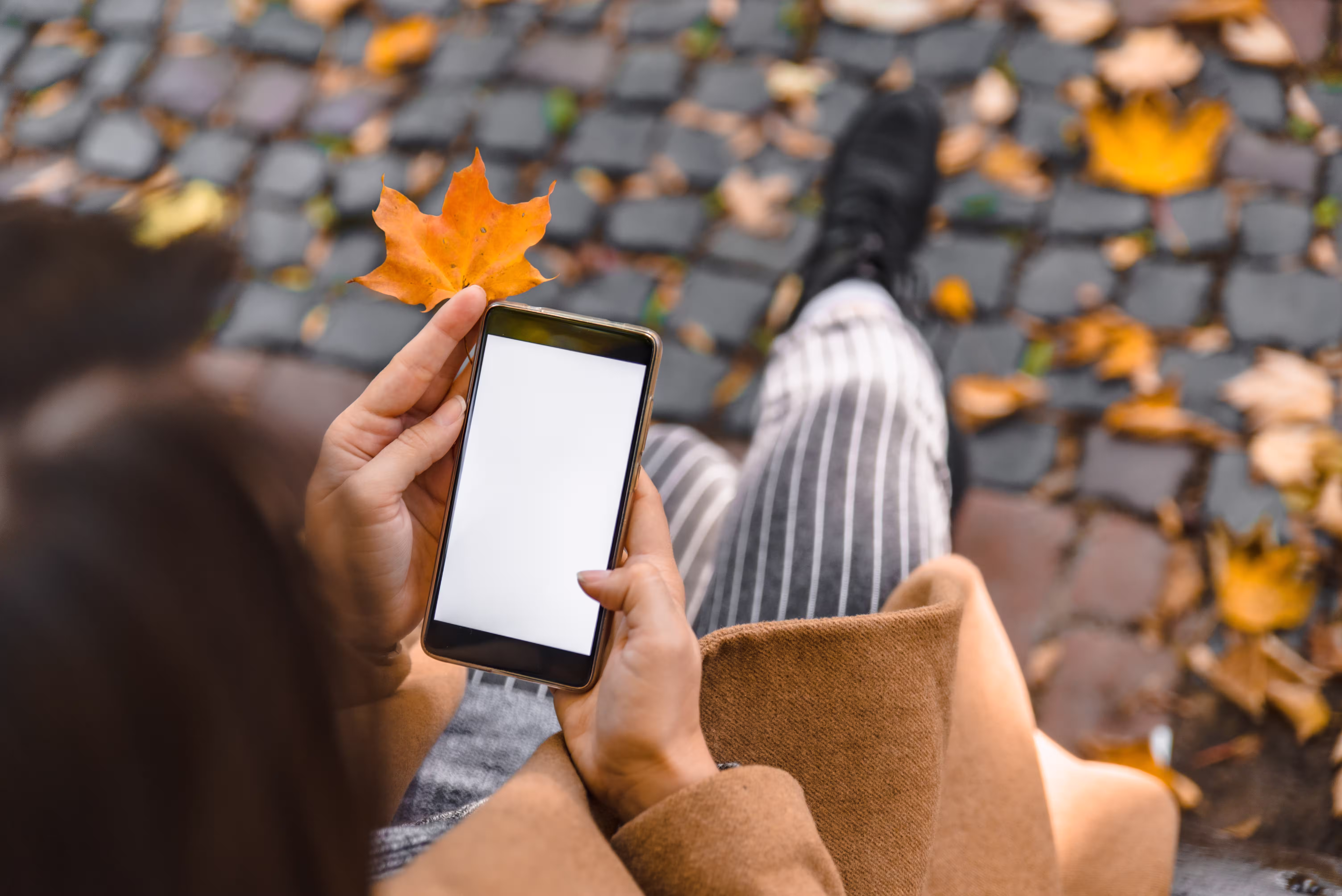 Fall Flight Booking
