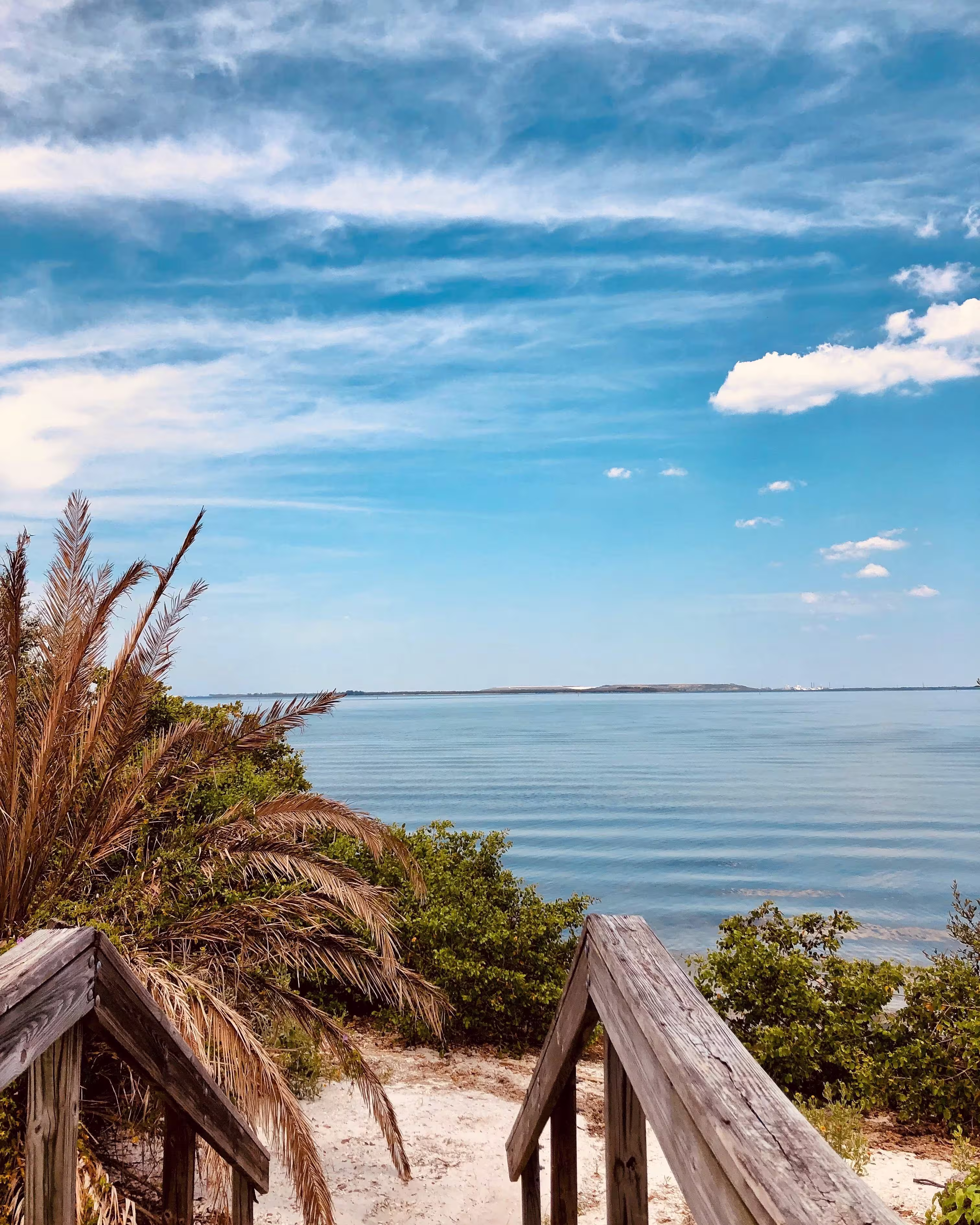 Wooden dock near Tampa beach