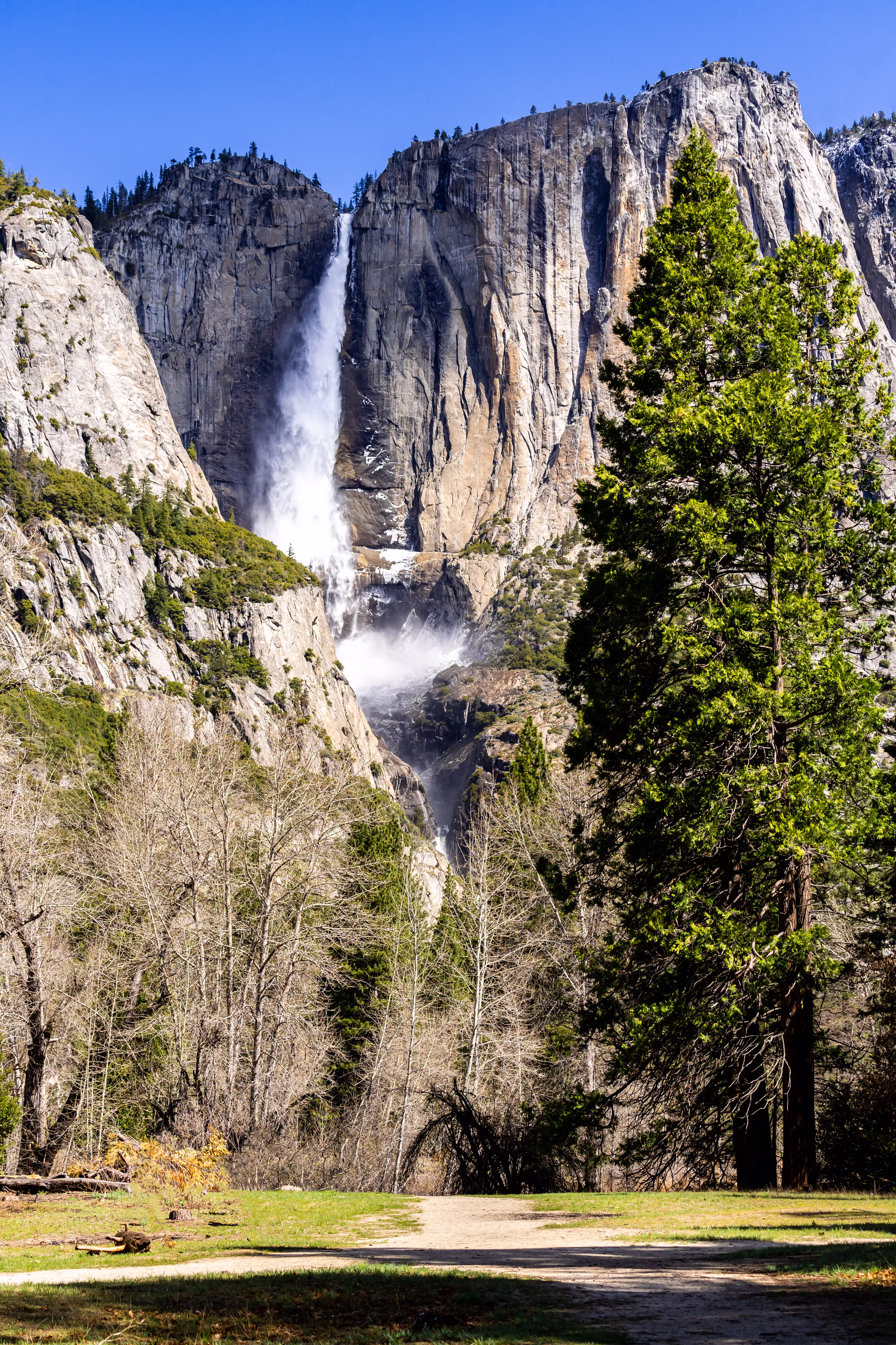 Yosemite Falls