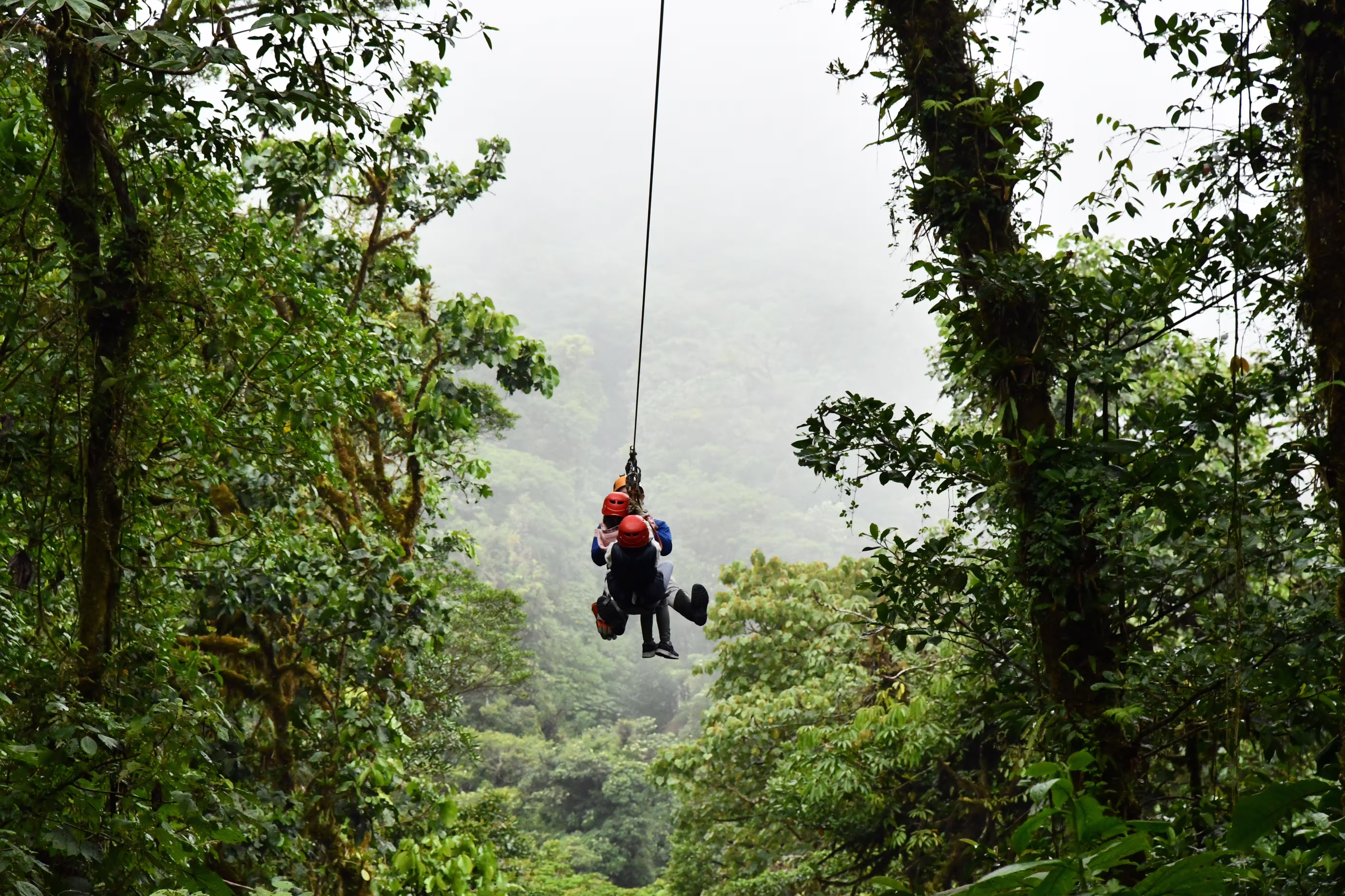 zip line